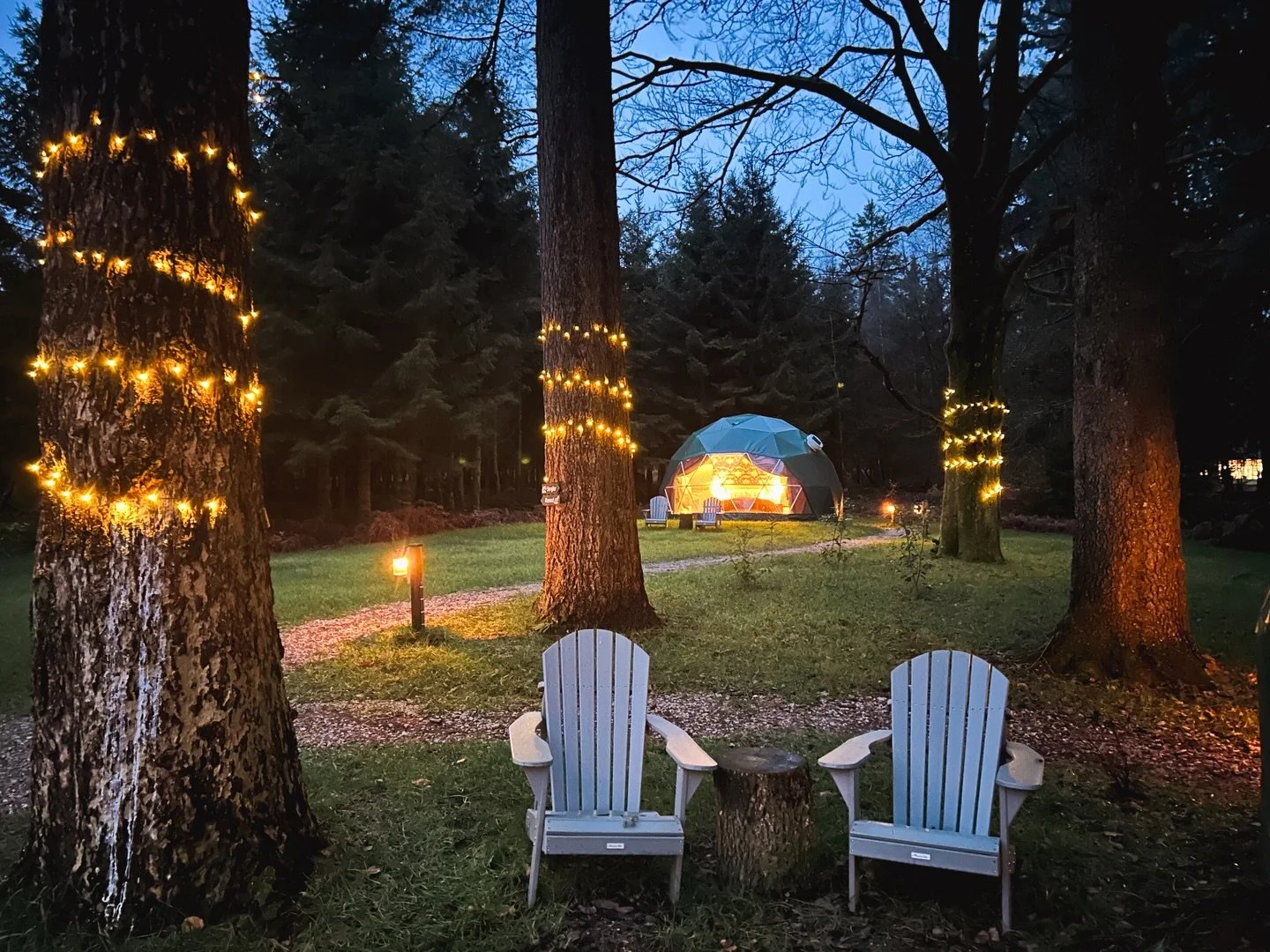 &rsquo;Tis the twinkle season! ✨🌲
Today we stepped into the trees with armfuls of twinkle lights, and before long we were winding them around the trunks and fully embracing our festive forest&ndash;makeover era. 🤩
Now the whole glamping site is sta