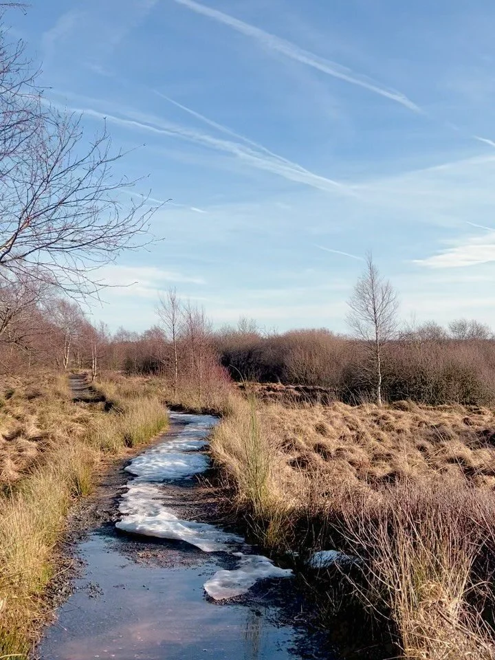 The weather up here loves a plot twist 😌
Last week we were crunching through snow in our boots &mdash;
this week it&rsquo;s sunshine, open skies, and the moors stretching out in every direction.

The Hautes Fagnes have a way of clearing your head.
S