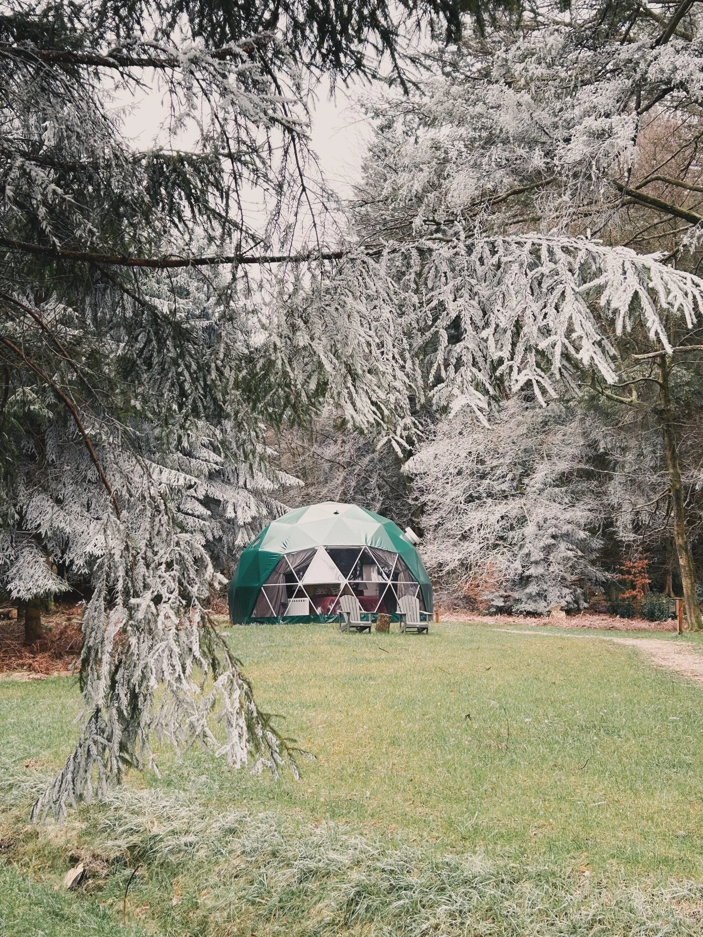 Feels like snow might be on its way&hellip;❄️

The frost has settled in, the trees are covered in ice and the sun was catching on the branches for a while today before the cold returned.

It was one of those winter days that makes coming back inside 