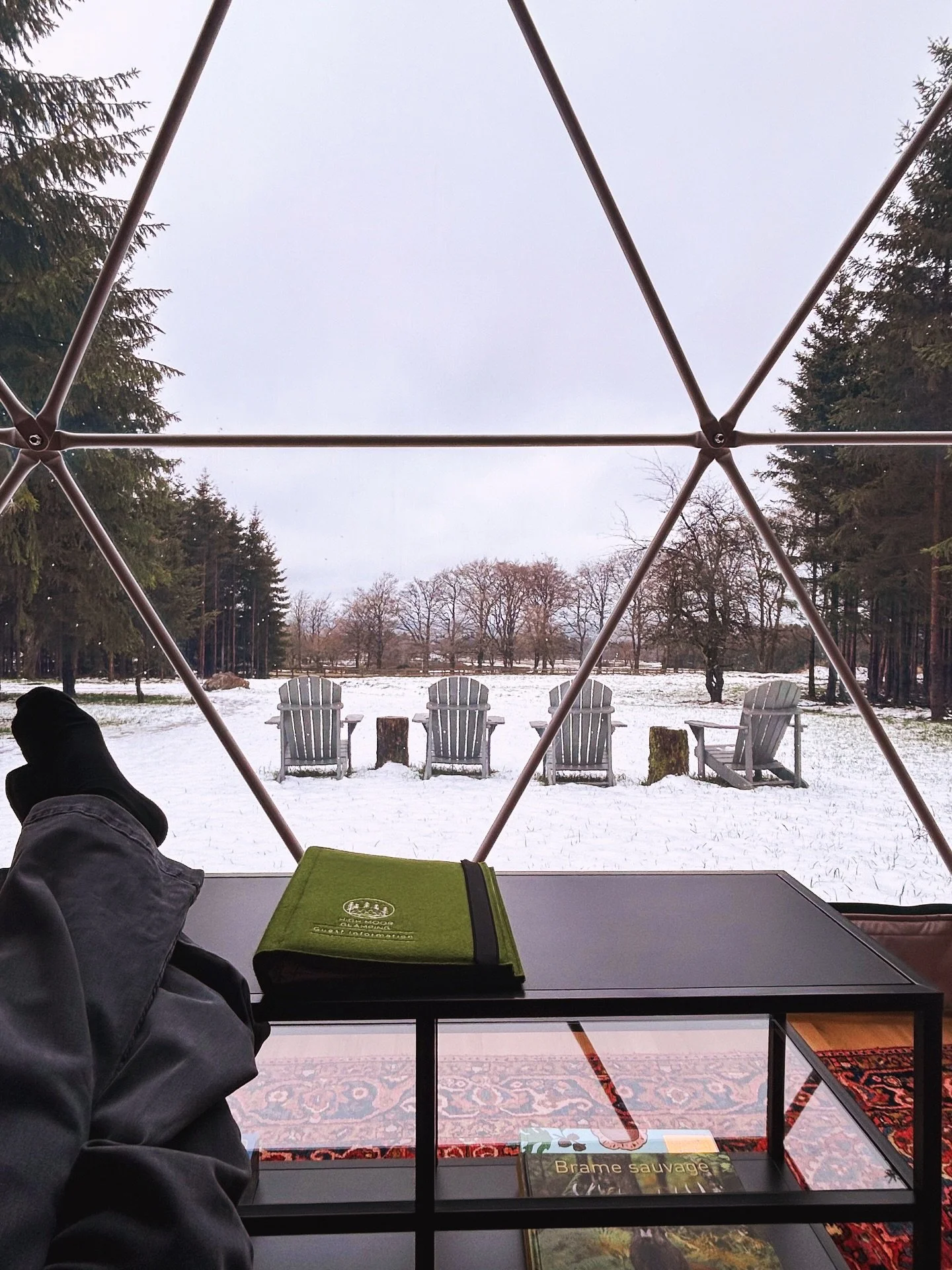 Well&hellip; snow did come. ☃️

Over the last couple of days, snow has settled over the Ardennes again, just enough to soften the landscape and quiet everything down.

It&rsquo;s still a little wet for now, the kind of weather that keeps you guessing