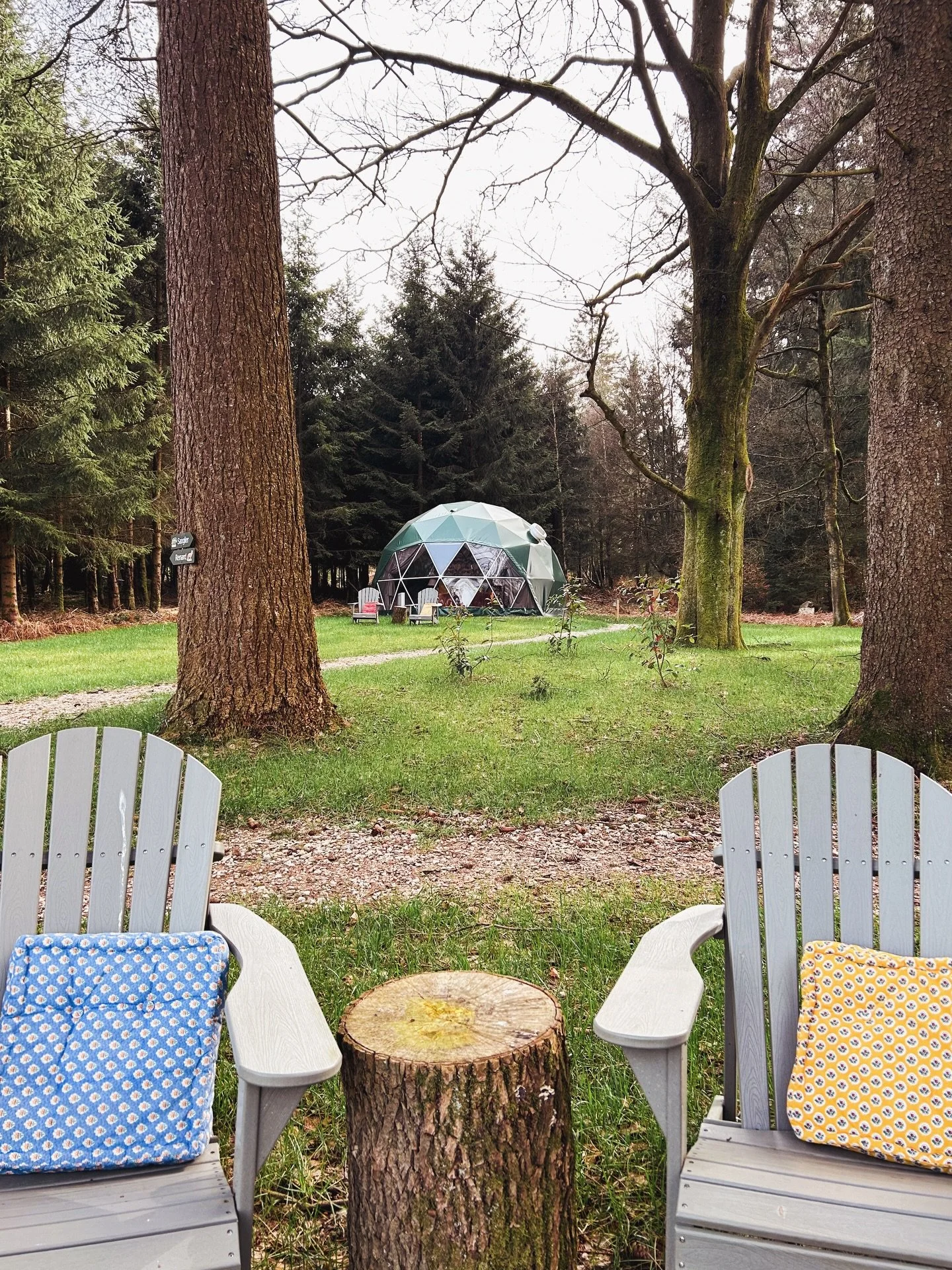 Official sign that spring has arrived: the cushions are out. ☀️

The deckchairs outside the glamping domes are finally dressed for the season again, happily soaking up this unexpected early March sunshine.

It&rsquo;s the kind of weather that makes y