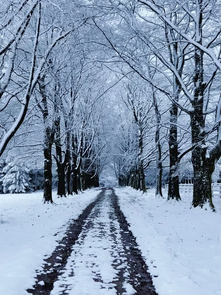 Well&hellip; winter clearly didn&rsquo;t get the memo ❄️

Just when we&rsquo;d folded away the idea of cold, we woke up to the Ardennes wrapped in white again this morning. Quiet, soft, and a little bit magical&mdash;like it said goodbye&hellip; and 
