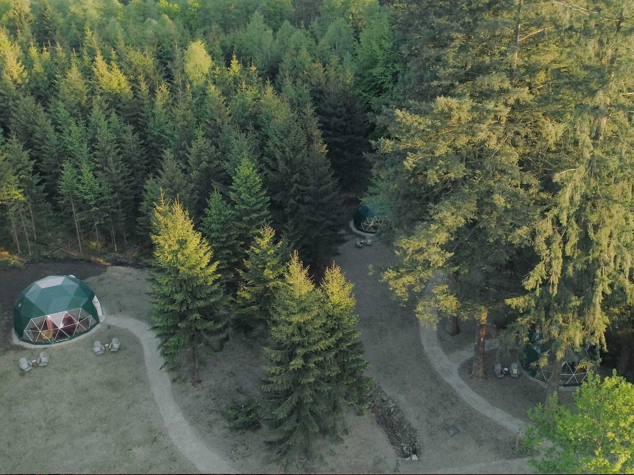 Forest nature retreat in Belgium for couples and families