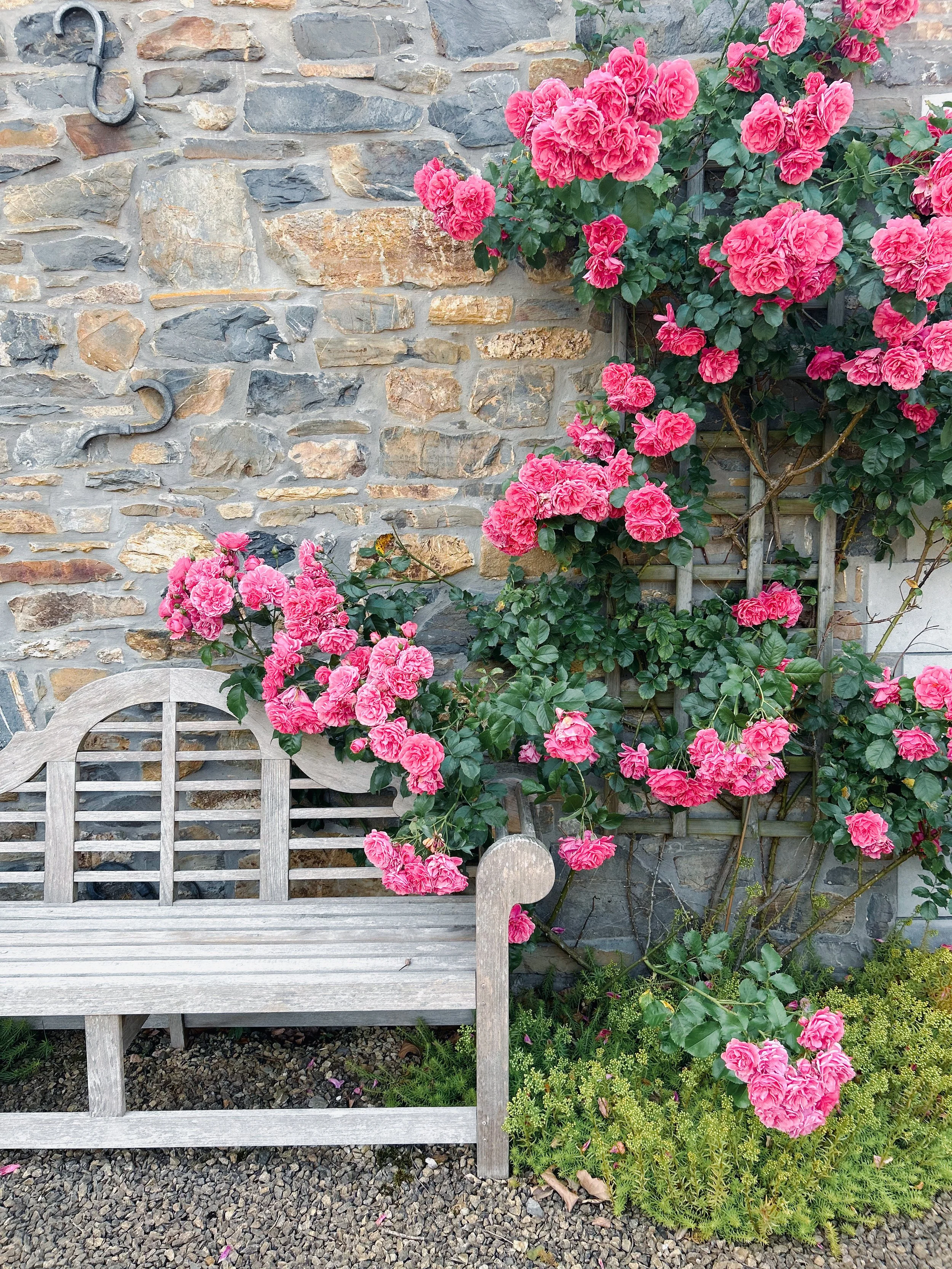Blooming roses on the walls of the Grand Hall