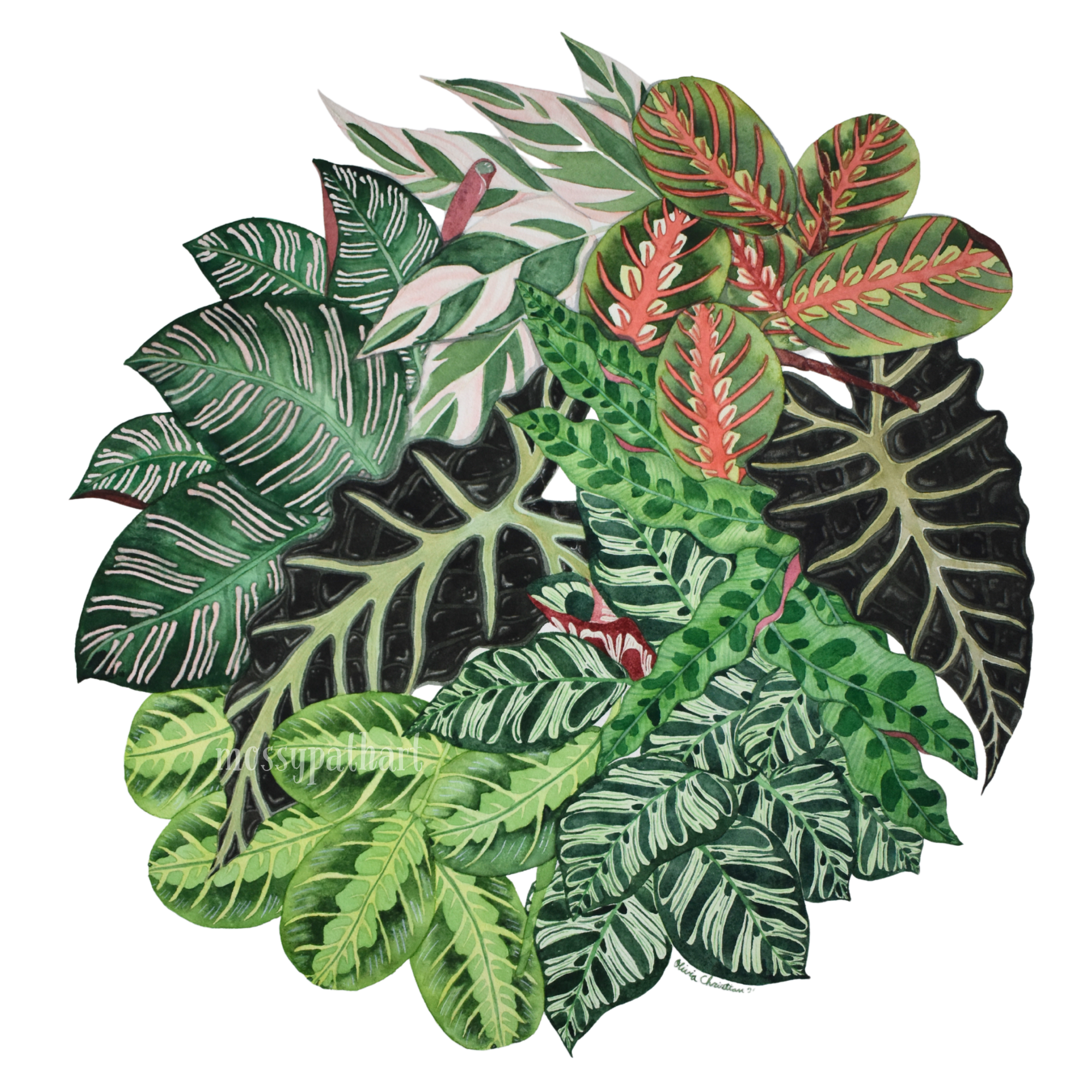 Tropical Leaves (1).png