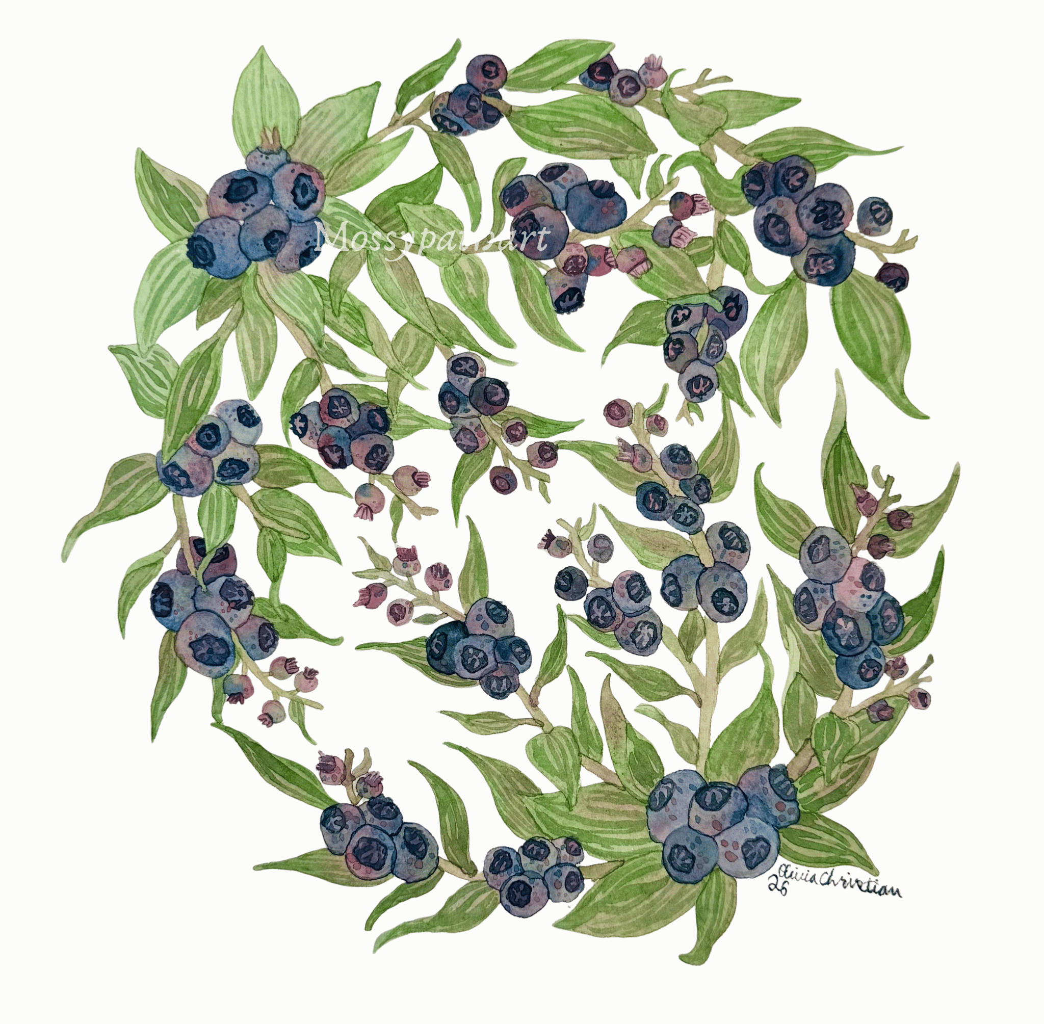 Blueberries (1).png