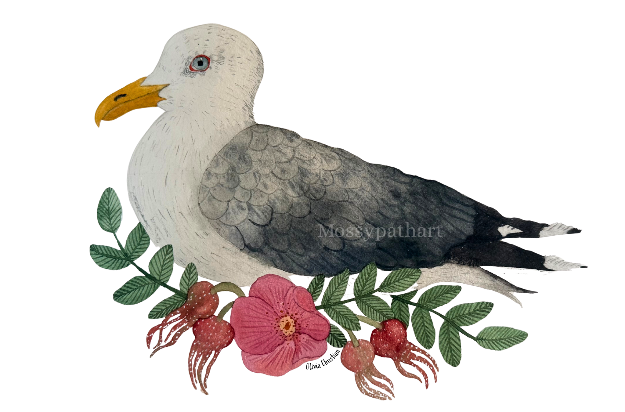 Illustration of a seagull with a white head, gray wings, and a yellow beak, surrounded by green leaves and red berries, and a pink flower.