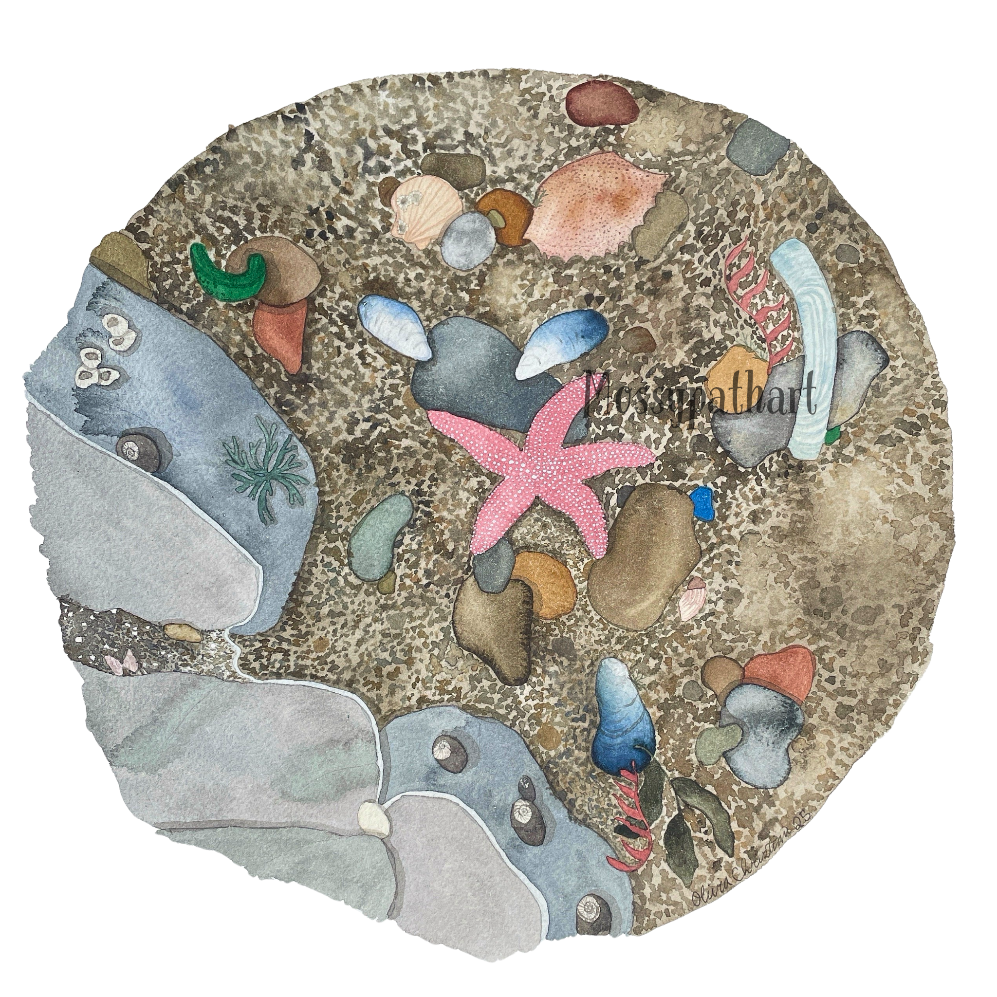 Watercolor painting of a sandy beach with various seashells, rocks, and a pink starfish in the center.