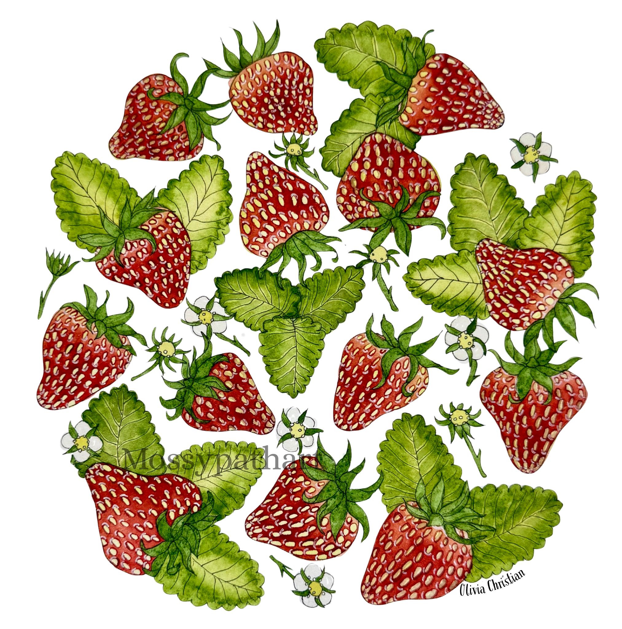 Illustration of ripe strawberries with green leaves and white flowers on a white background.