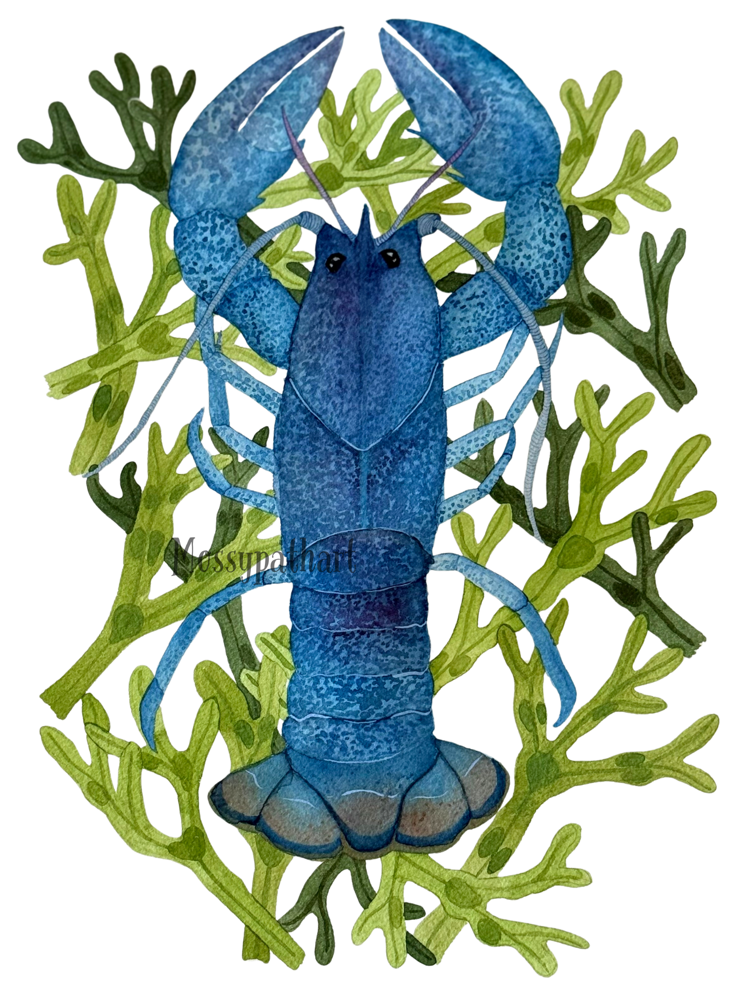 A watercolor illustration of a large blue lobster sitting on green seaweed.