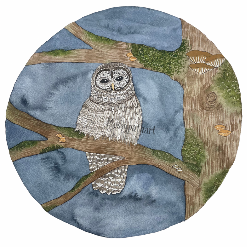 Watercolor illustration of an owl sitting on a tree branch with a dark blue background.