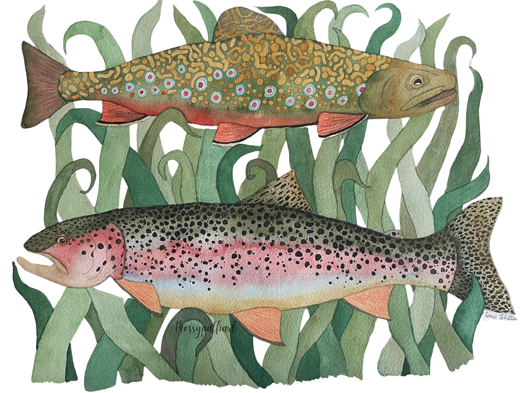 Watercolor painting of two trout fish swimming among green aquatic plants. The top fish is a brook trout with brown with colorful spots, and the bottom fish is a rainbow trout with pinkish with black spots.