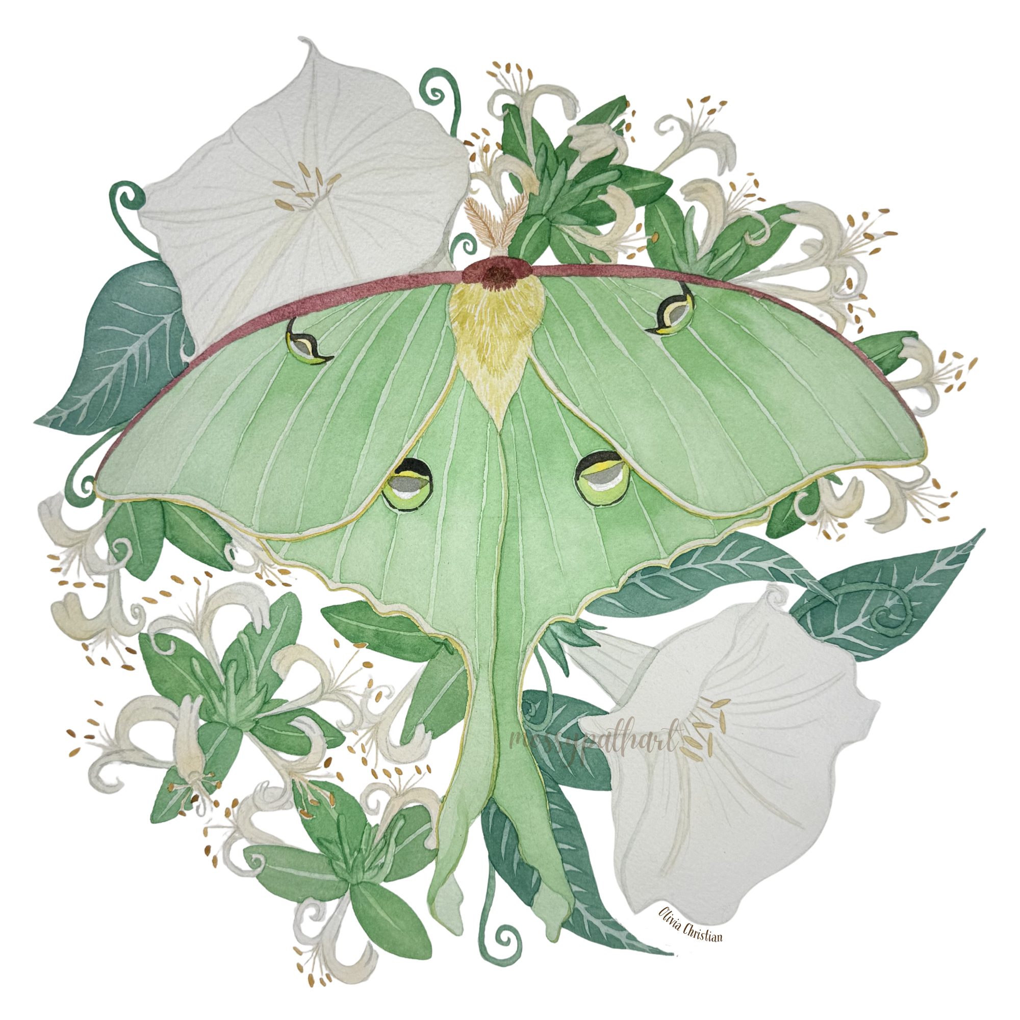 Luna Moth New (1).png