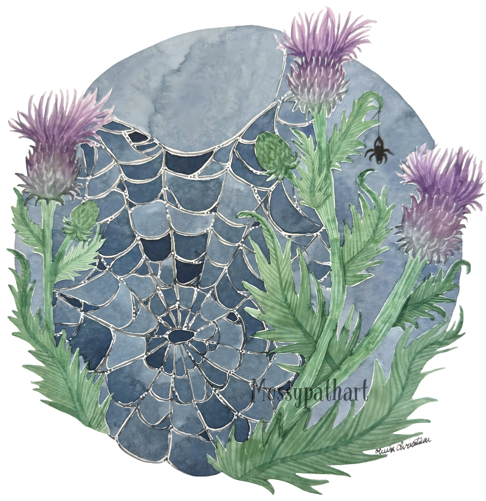Watercolor illustration of purple thistle flowers with green leaves, a spider web, and a small spider against a moonlit sky.