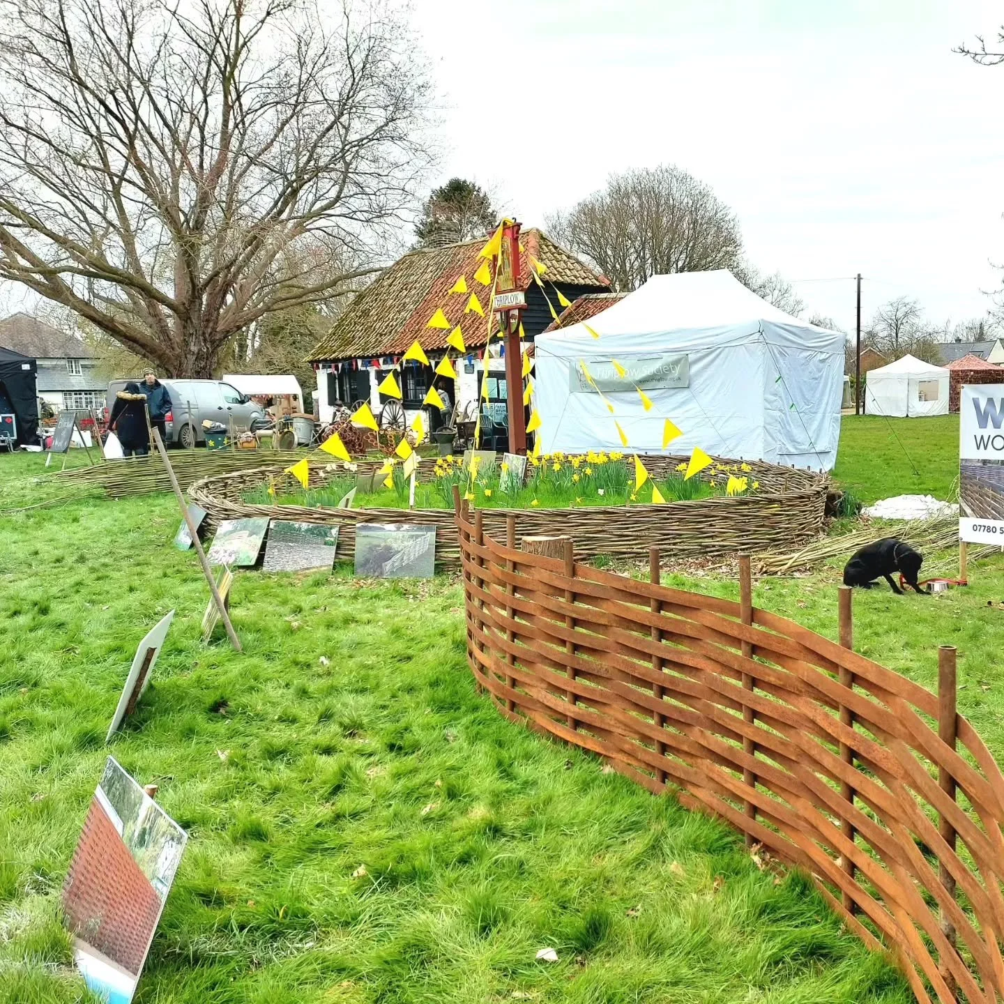 We've had a wonderful day @thriplow.daffodil.weekend with our great teams @foxcottetreesurgery and @wonderwoodwillow - the sun shone, the daffodils were beautiful and we met some fantastic people. Thank you for a great day and we can't wait to do it 