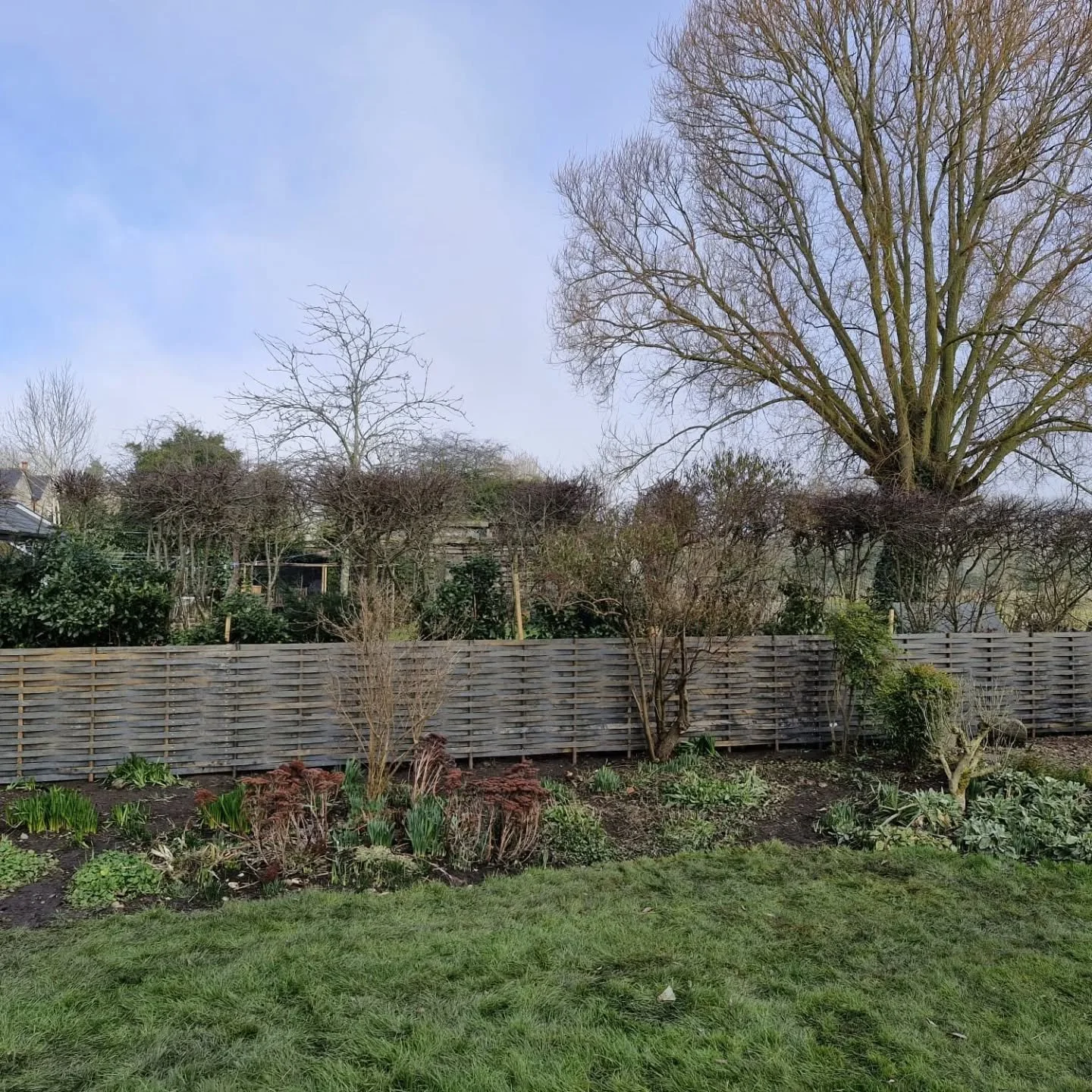 A lovely fence completed - and it will look even lovelier once the plants have grown up a little... 🌱 🌿 
.
.
#wovenfence #metalfence #wovenmetalfencing #wonderweld