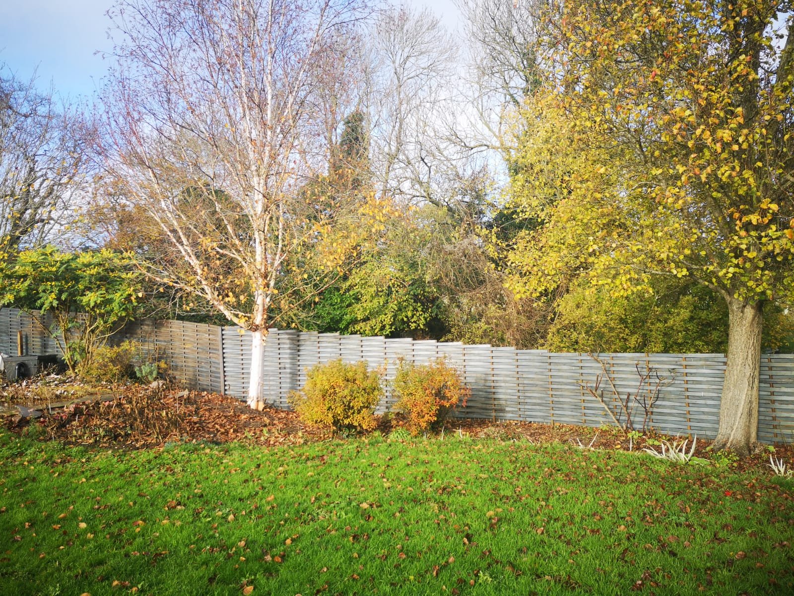 A garden scene with green grass, two trees with yellow and brown leaves, and a woven steel fence in the background. Some plants and bushes are also visible near the fence.