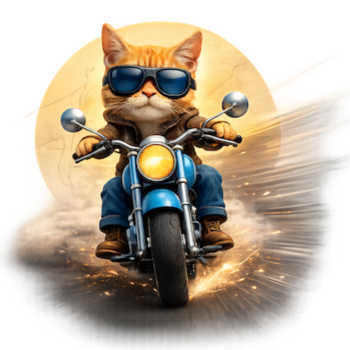 Gatto con occhiali da sole che guida una moto su una strada asfaltata.