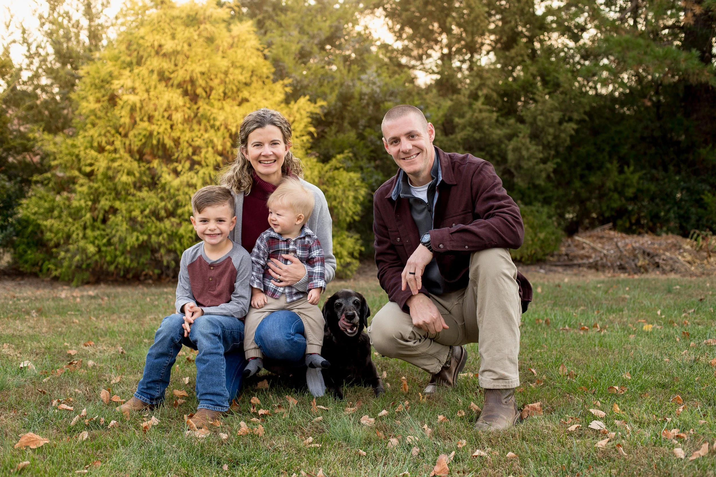 About Precision Canine — Precision Canine | Dog Training | Lynchburg ...