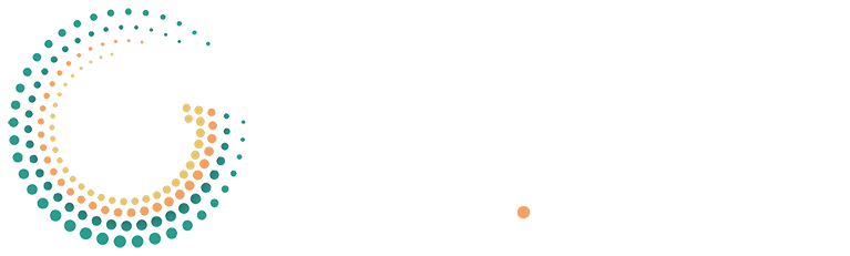 Governance Geek