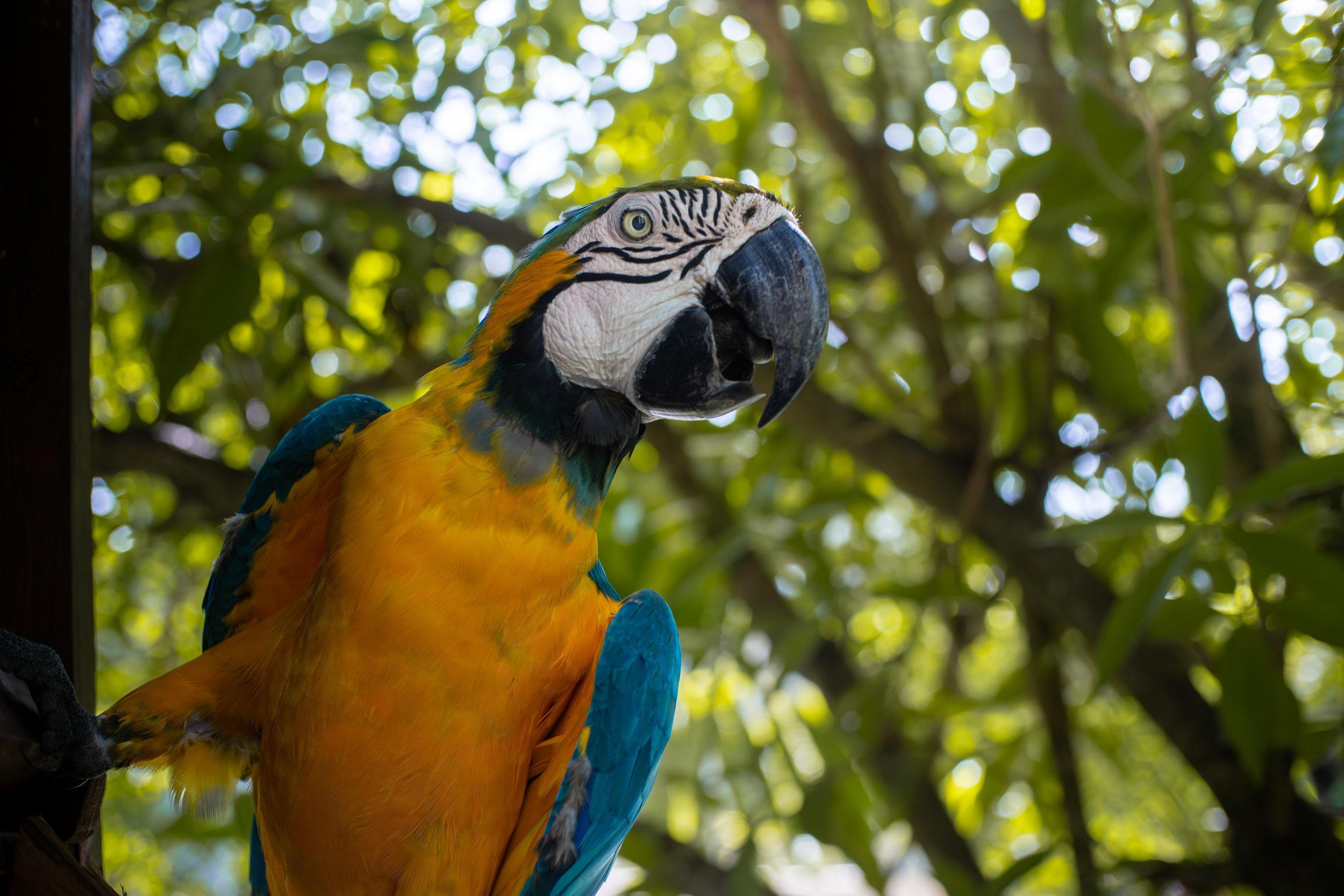 Travel Photography