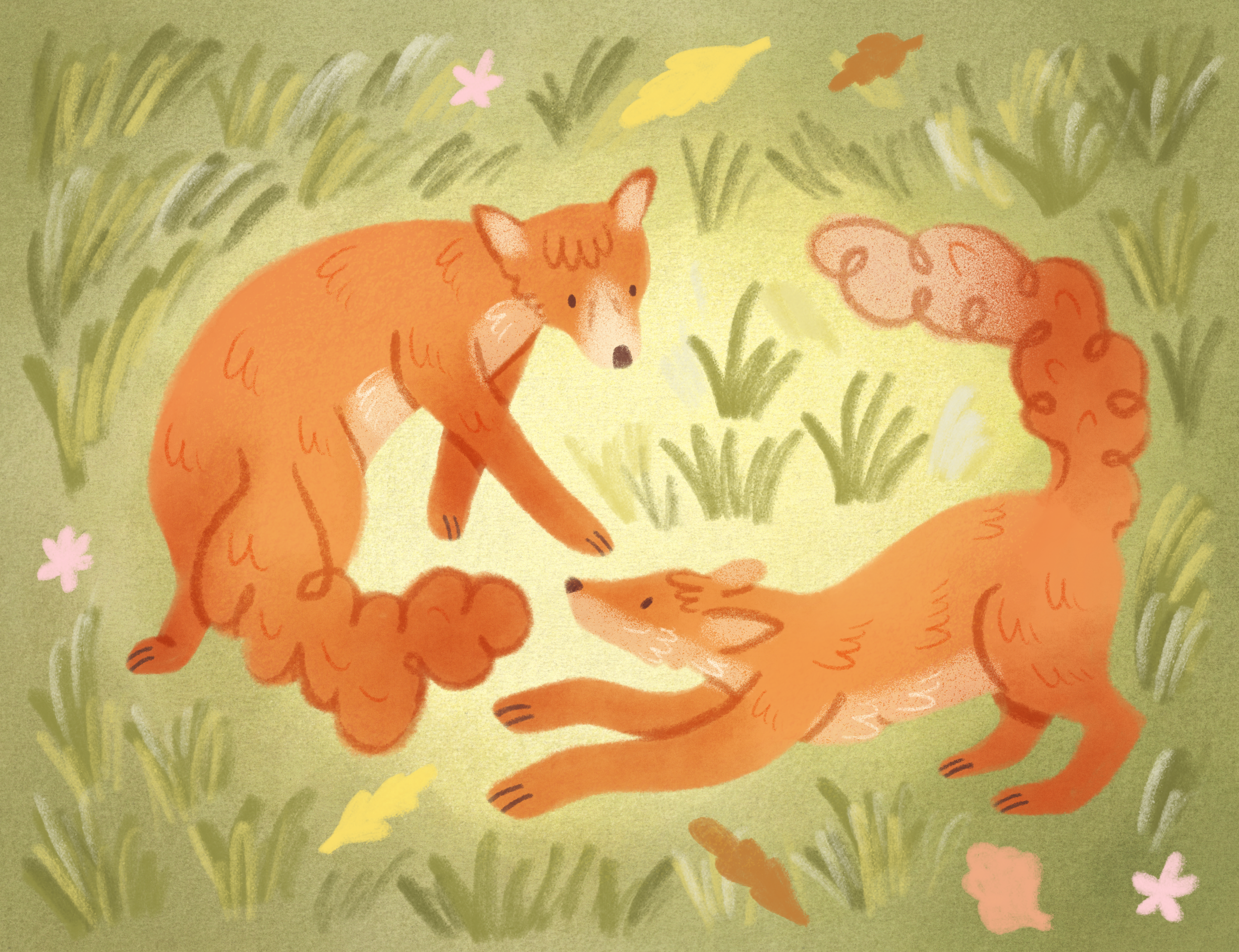 foxes_playing.png