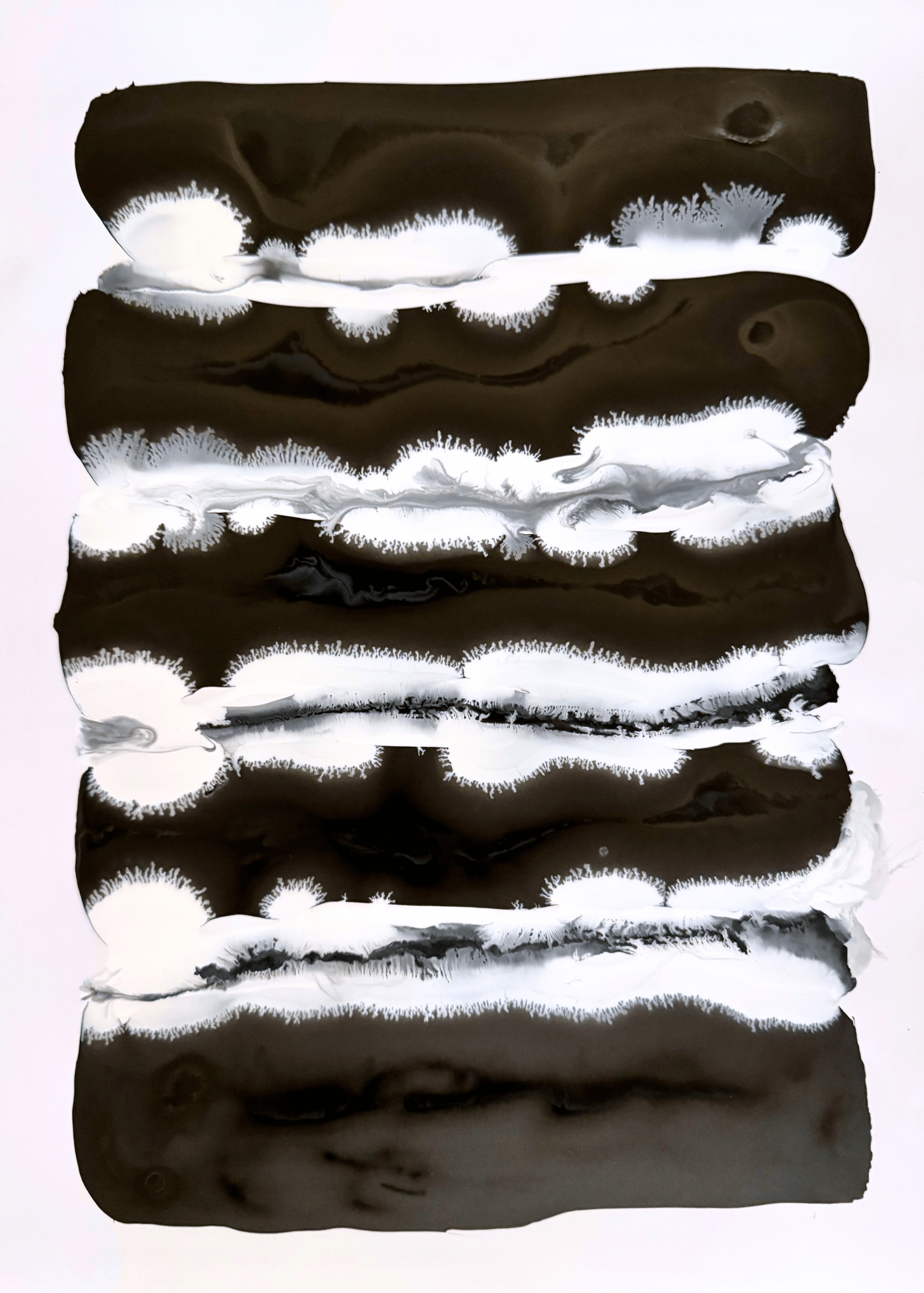 Laura Seligman Image Website Edits4.png