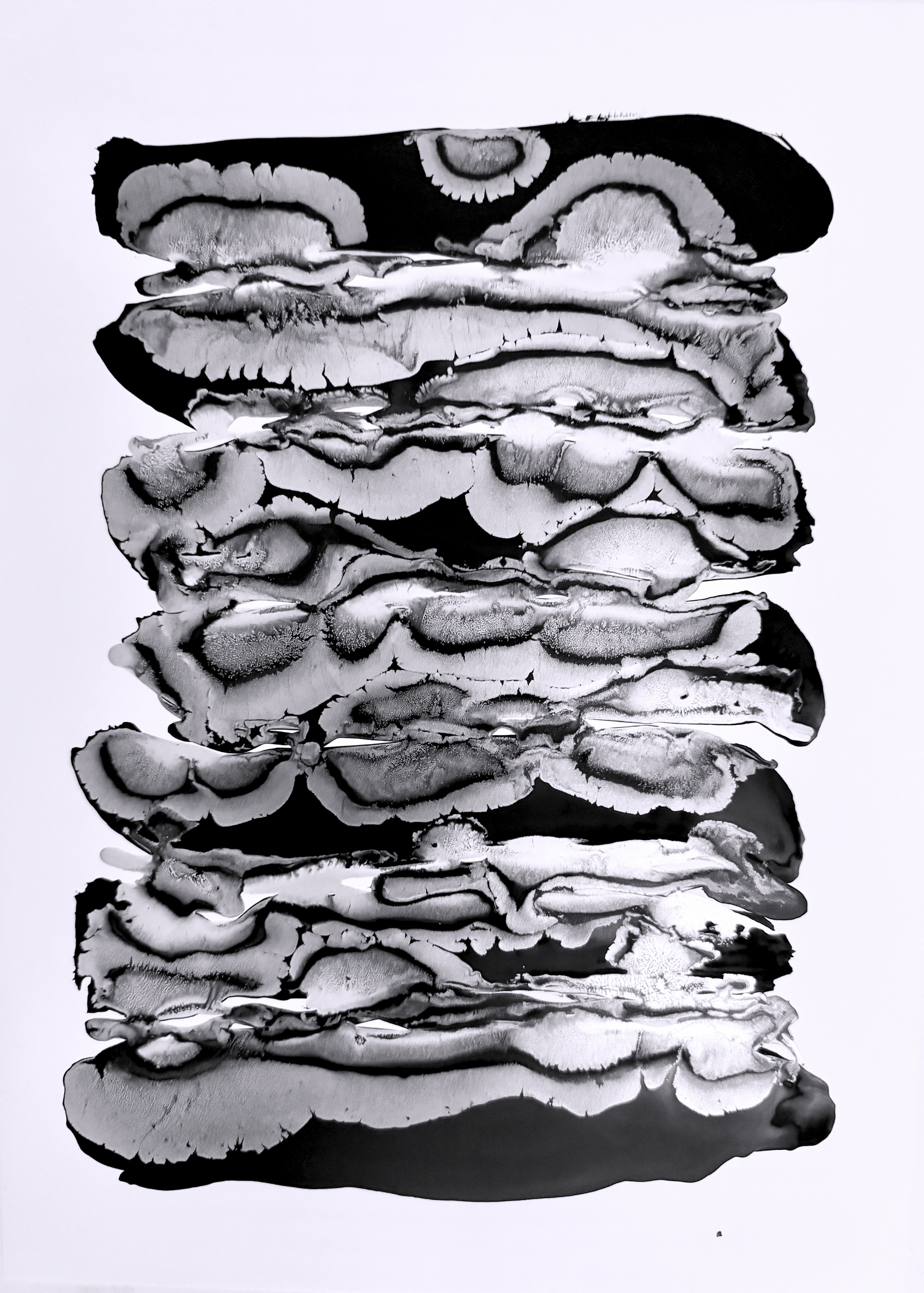 Laura Seligman Image Website Edits16.png