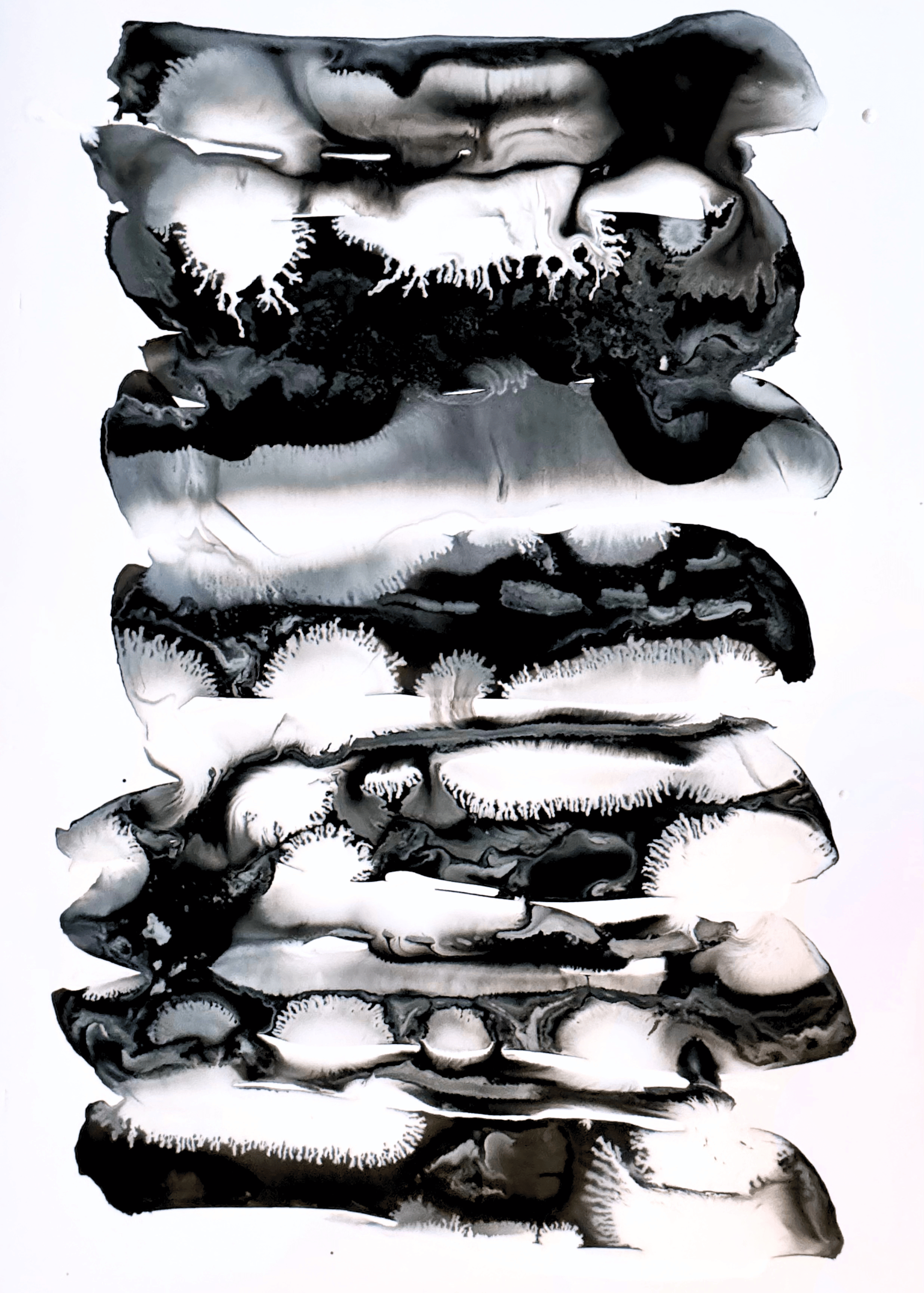Laura Seligman Image Website Edits2.png