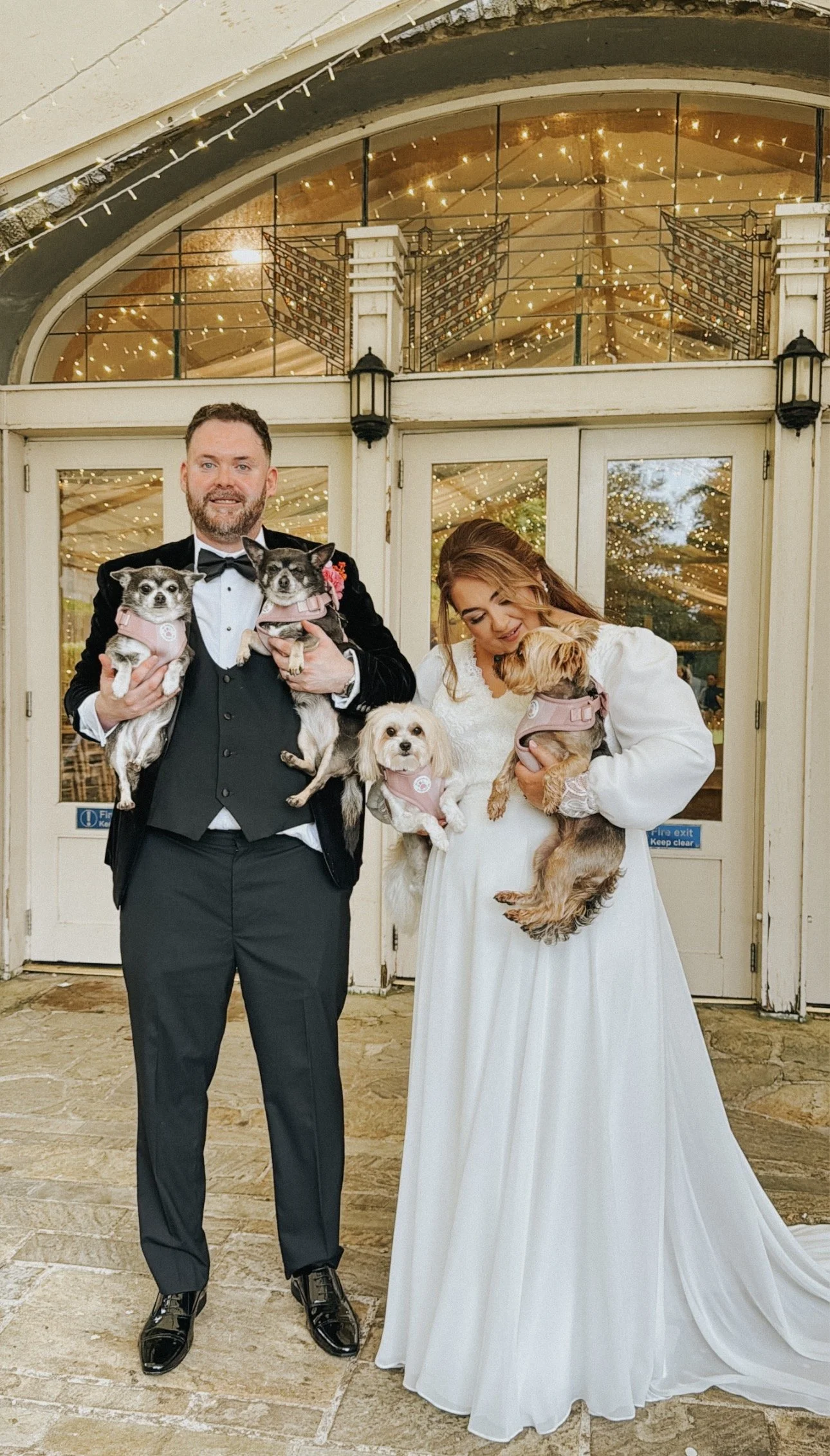 A newly married couple dressed in wedding attire holding four dogs in front of a decorated venue entrance at Lough Erne Resort with string lights. Wedding Content Northern Ireland - Grey Acre Studios