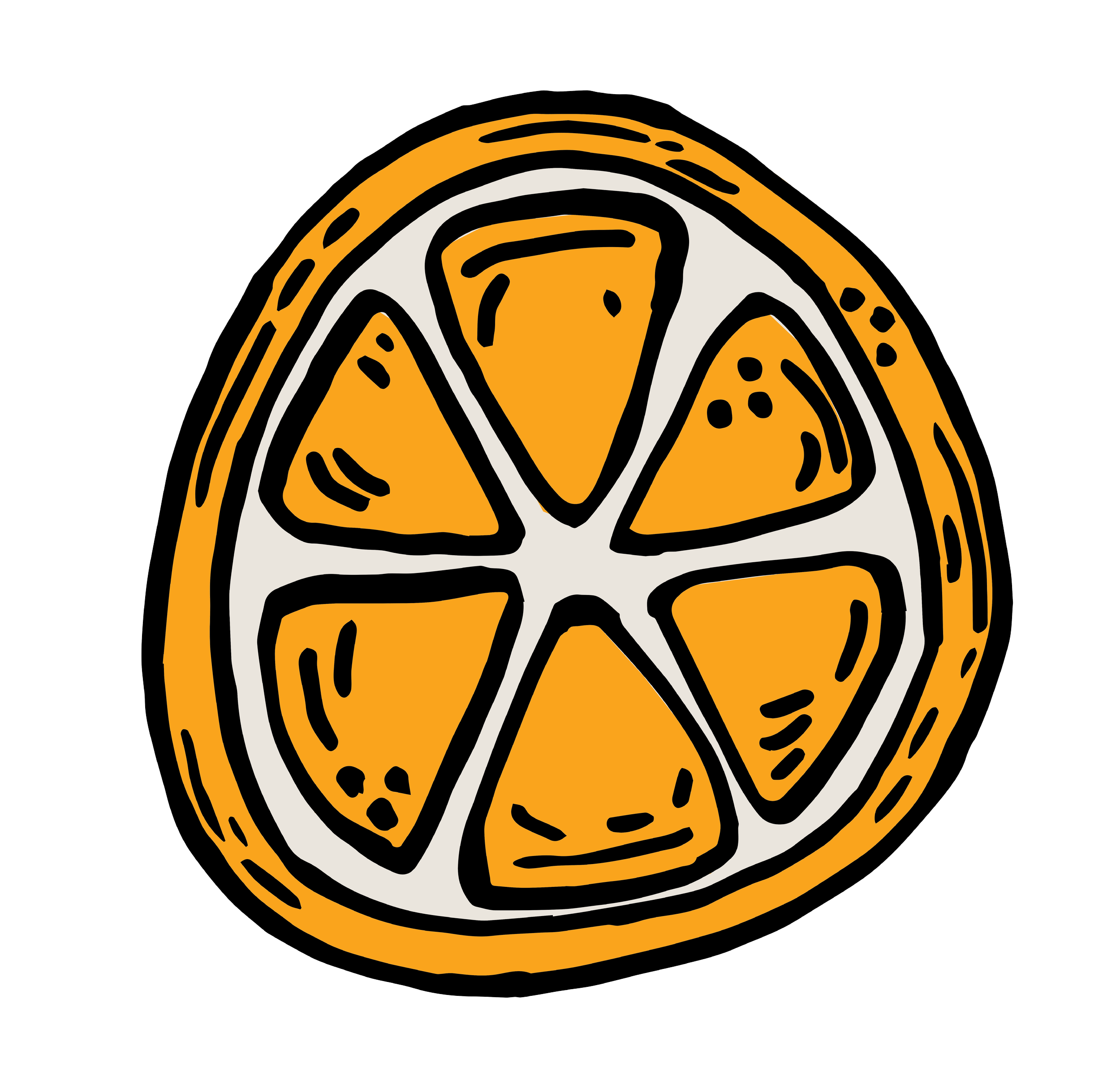 Illustration of an orange slice with segments outlined in black on a black background.