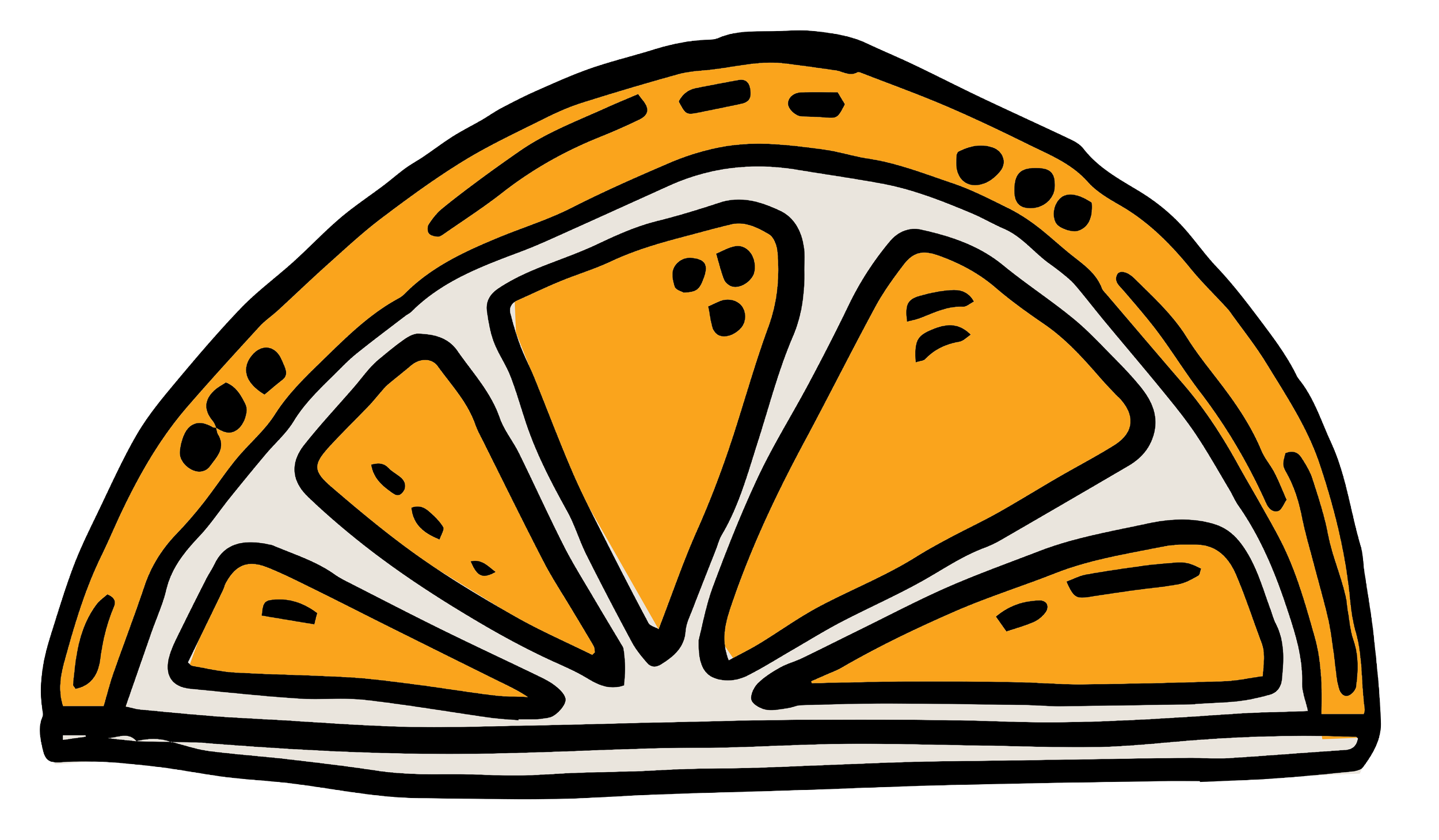 Illustration of an orange slice with black outlines and orange and white sections.