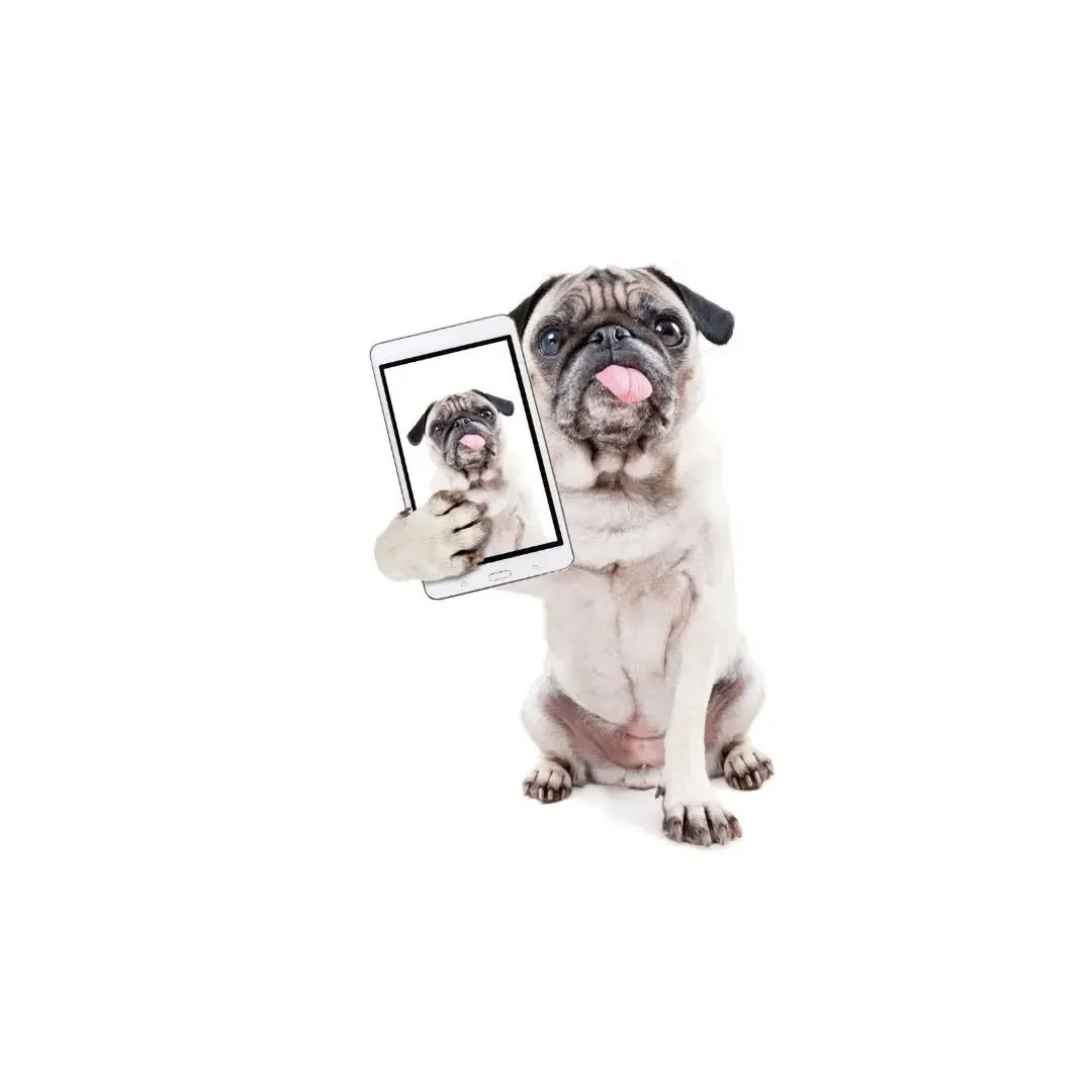 We are currently experiencing some issues with our phone services. We are working with our provider  to get the issue resolved as quickly as possible. Thank you for your patience, and feel free to message us here if you need anything and can't reach 