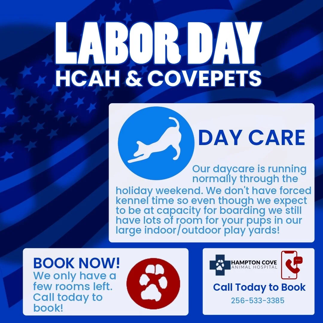 Labor Day boarding is almost full! Give us call today to get one of the last few spots available! #hamptoncove #downtownhuntsville #huntsville #huntsvillealabama #ownescrossroads