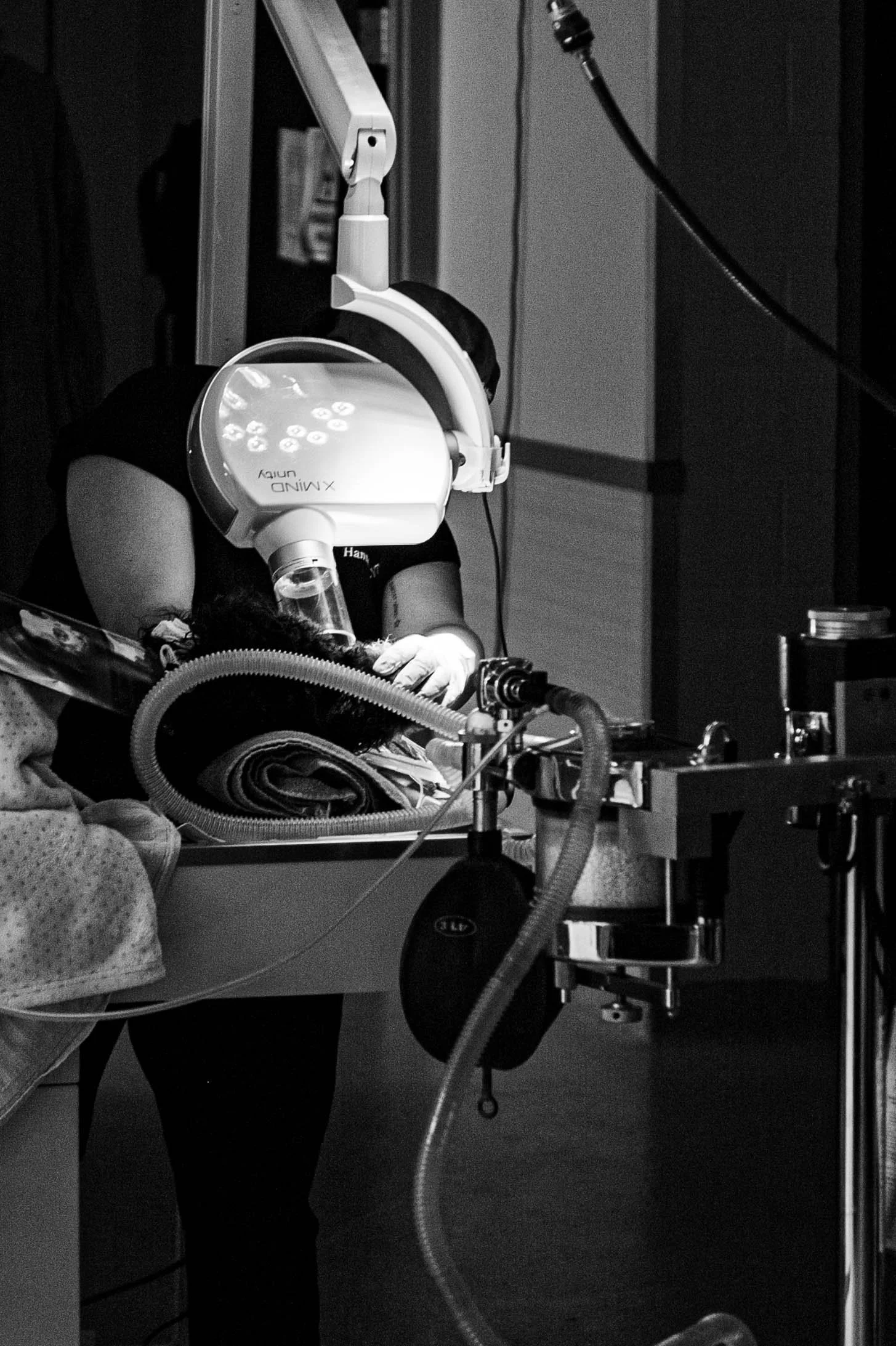 A medical professional performing a procedure with specialized equipment, with the focus on sterile environment and precise instruments.