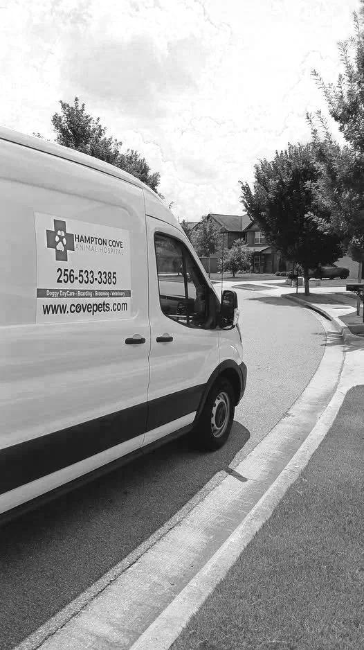White van from Hampton Cove Animal Hospital parked on a curved residential street with trees and houses in the background.