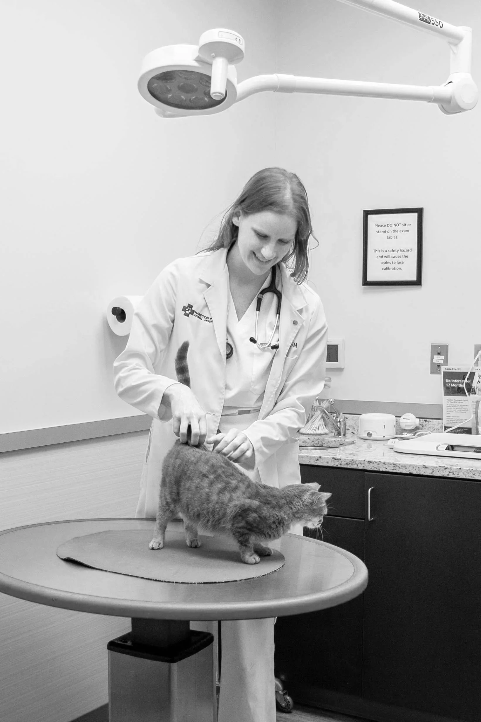 A veterinarian with a stethoscope examining a cat on an examination table in a veterinary clinic.