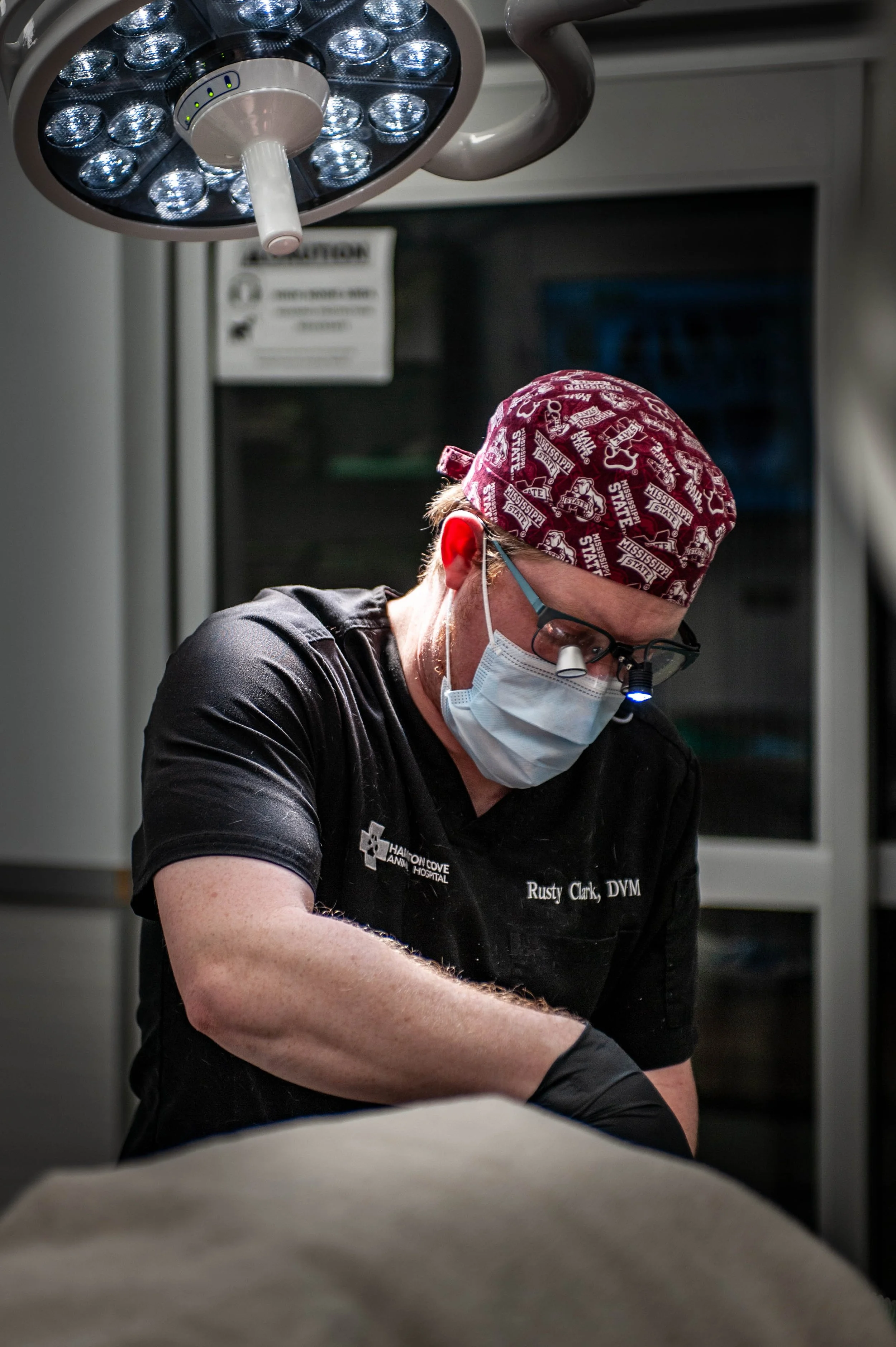 A veterinarian wearing a red bandana, glasses with a headlamp, and a face mask is examining a patient in a clinical setting, with surgical lights overhead.