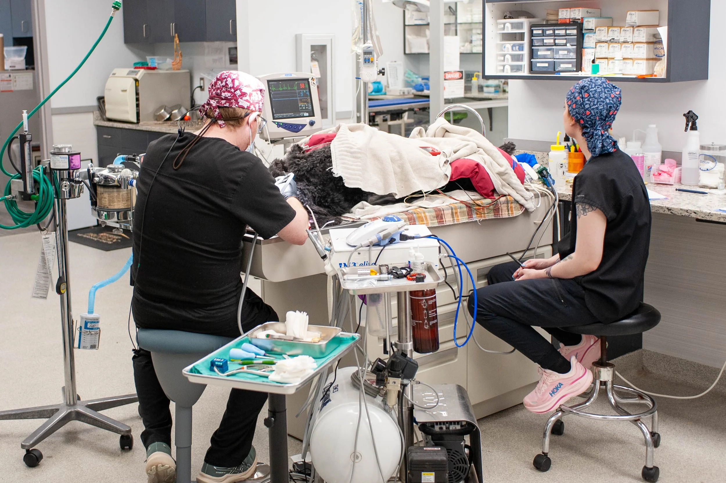 Veterinary professionals working on a dog in a medical setting, surrounded by medical equipment and supplies.