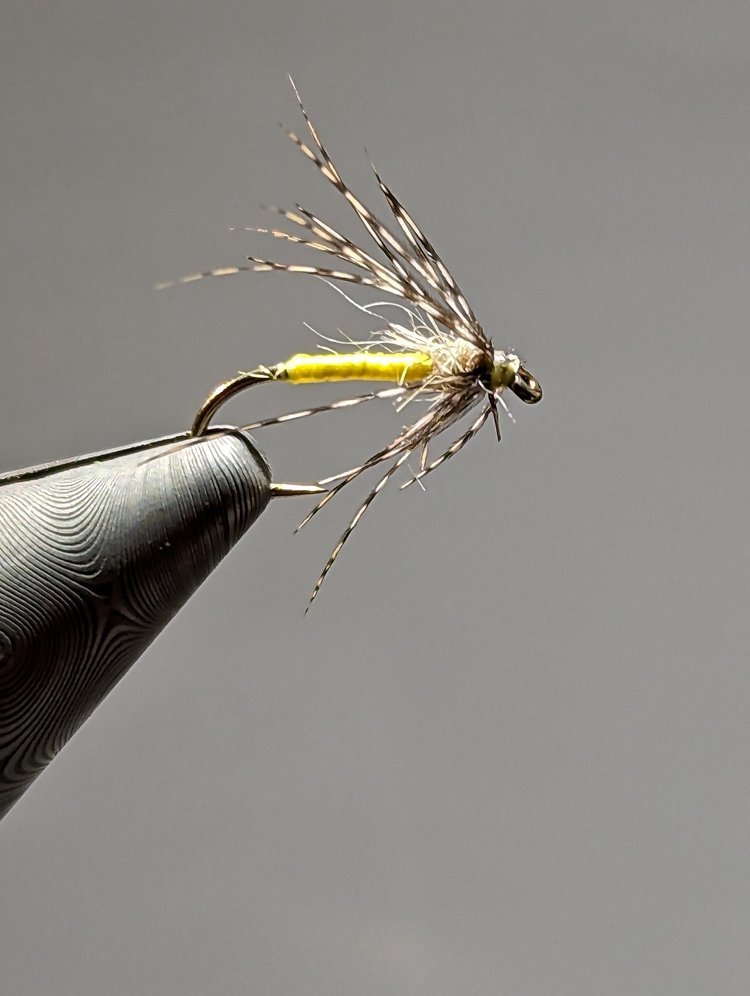 Beginner Fly Tying & Beyond