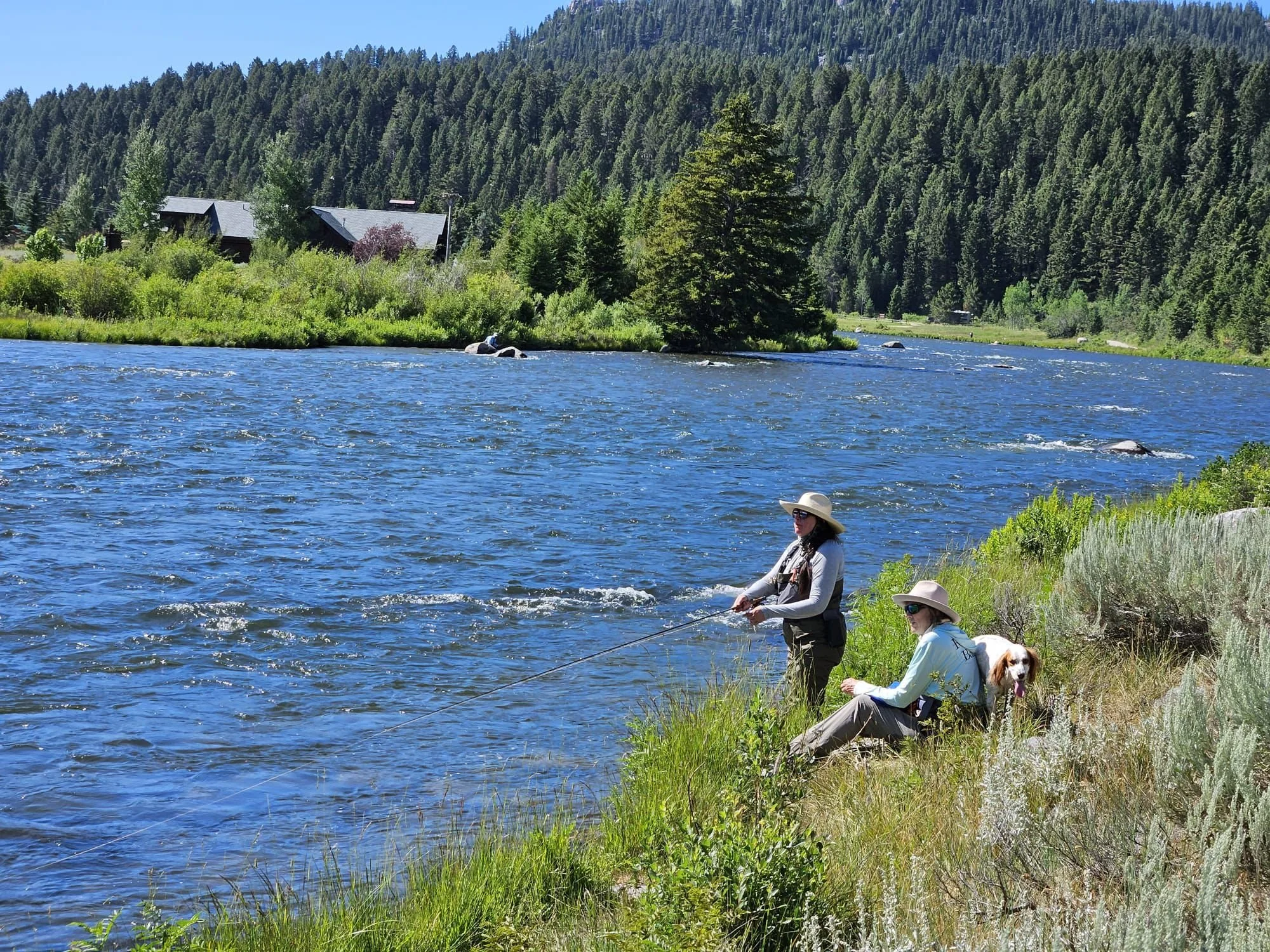 20260117_004751000_iOS 1 1.jpg