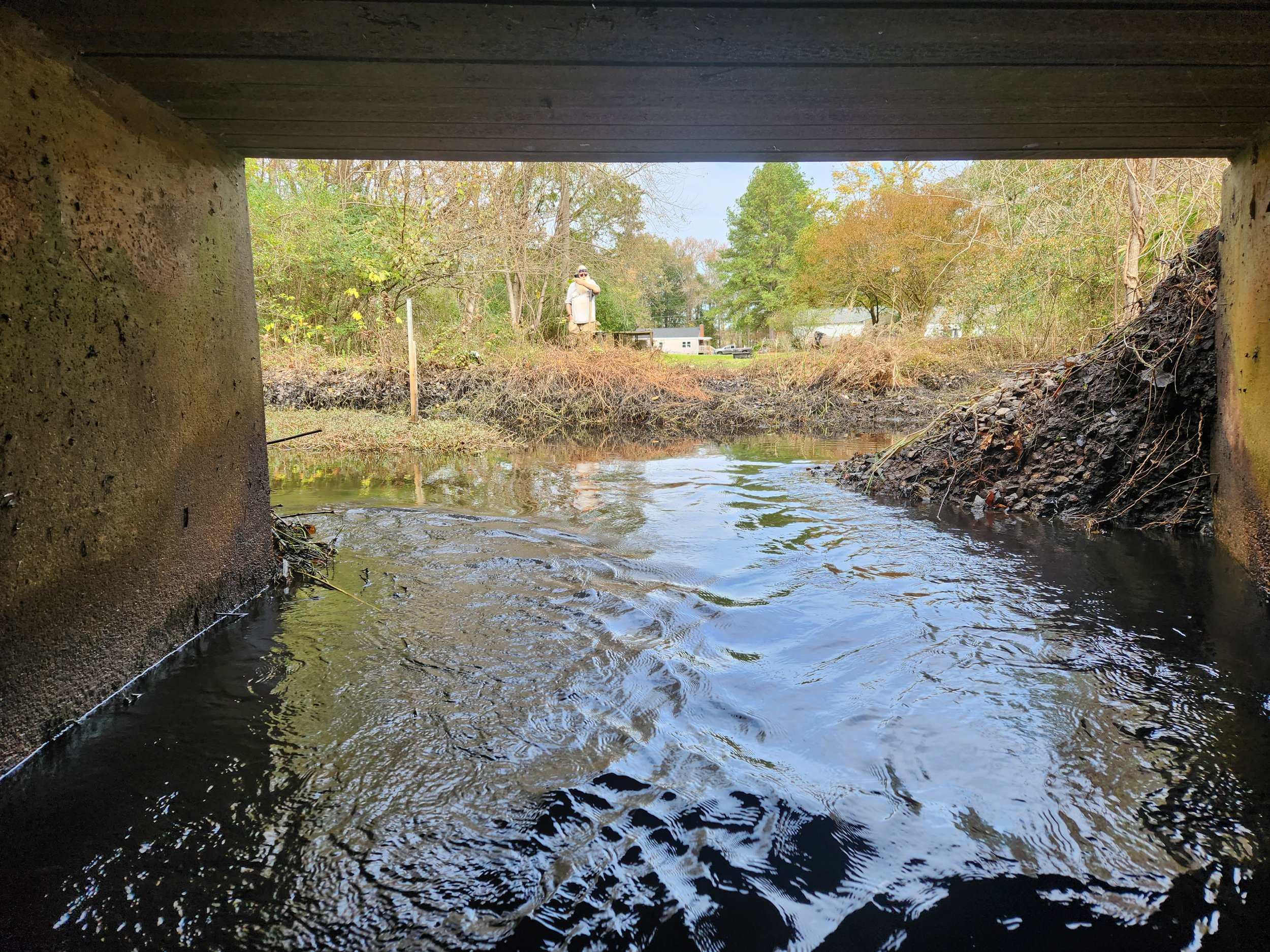 Post beaver dam removal.