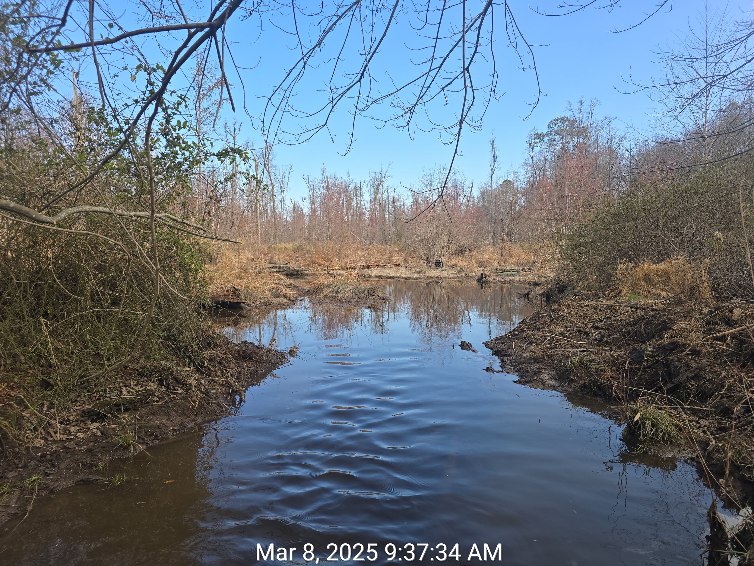 Removed by hand to ensure no unnecessary damage is done to the surrounding environment.