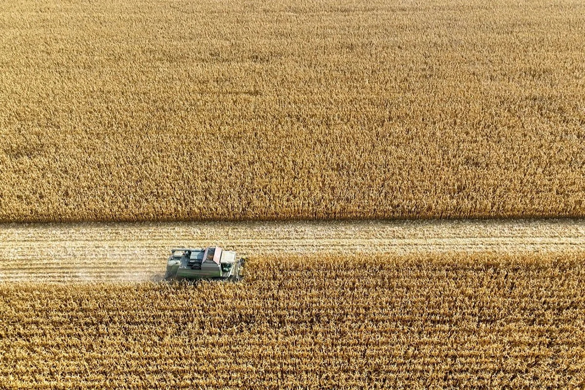 Comprometidos con la marca, con su equipo y con la agricultura
