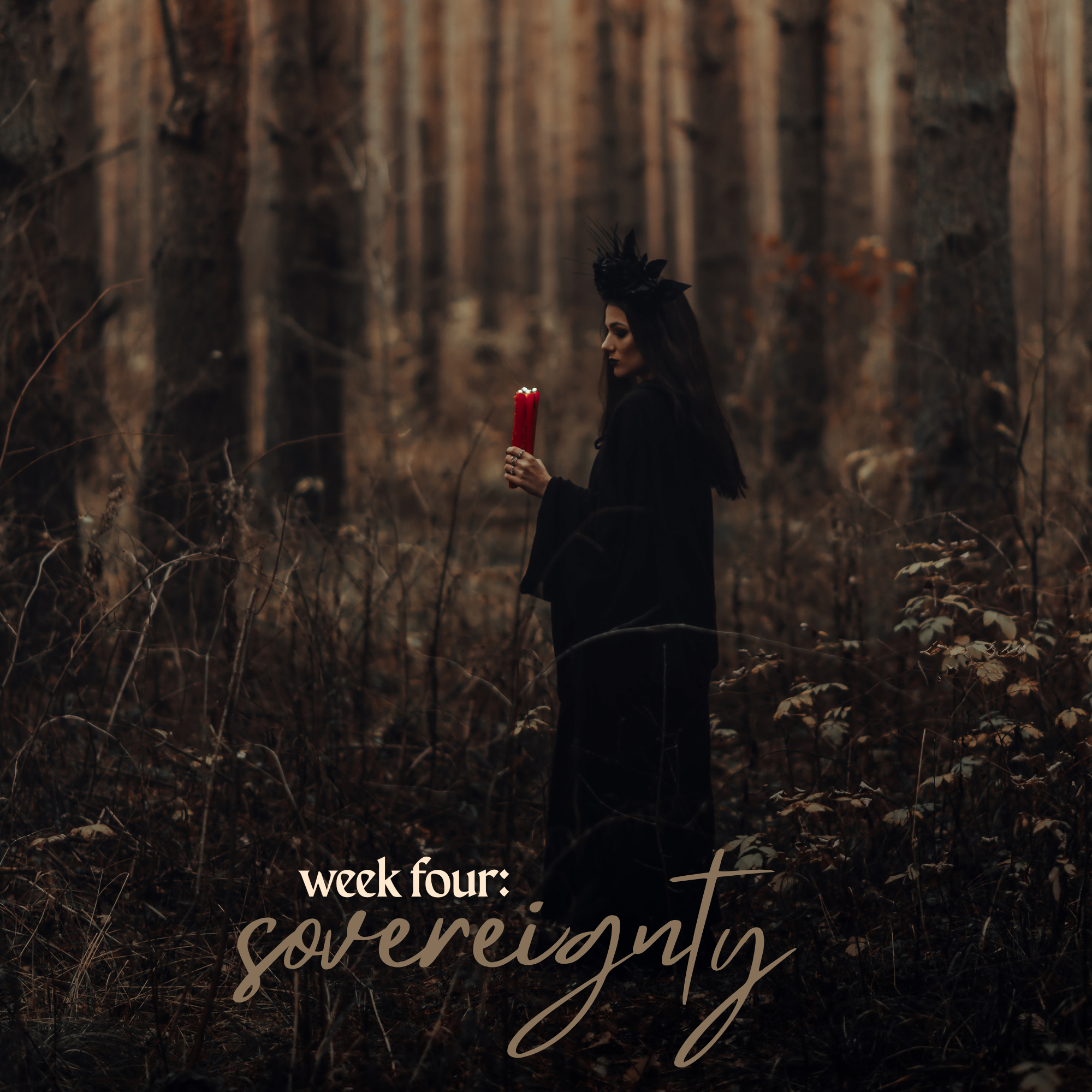 Survival to Sovereignty (2000 x 2000 px) (8).png