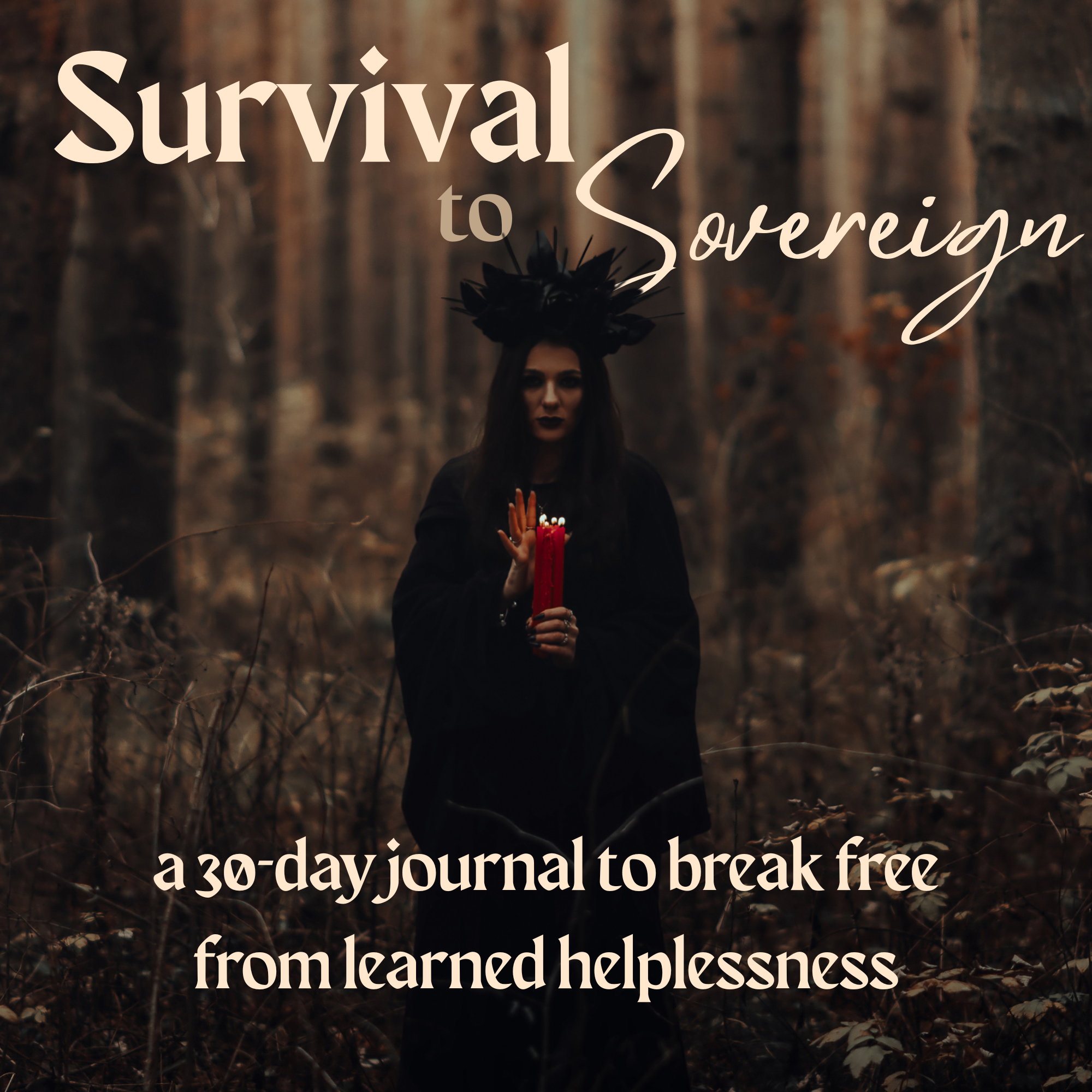Survival to Sovereignty (2000 x 2000 px).png