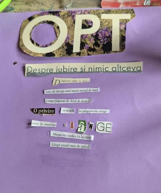 3. Tabără 2025_found poetry.jpeg
