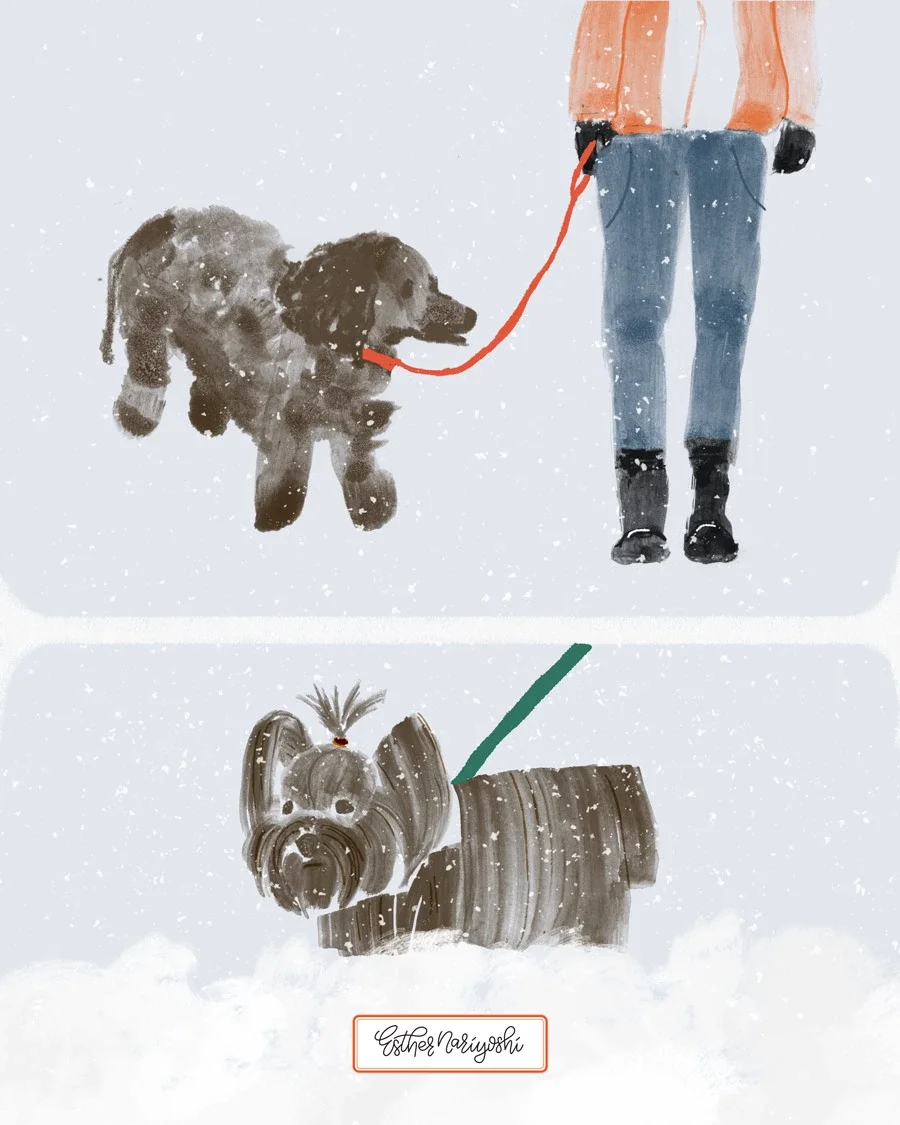 Two-panel winter illustration set showing a person walking a black dog on a red leash and a small Yorkshire terrier standing in deep snow, with falling snow in both scenes.
