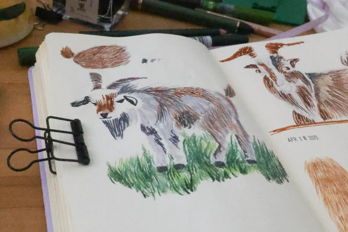 Sketchbook page filled with colored pencil drawings of goats standing in grass, clipped open on a busy desk.