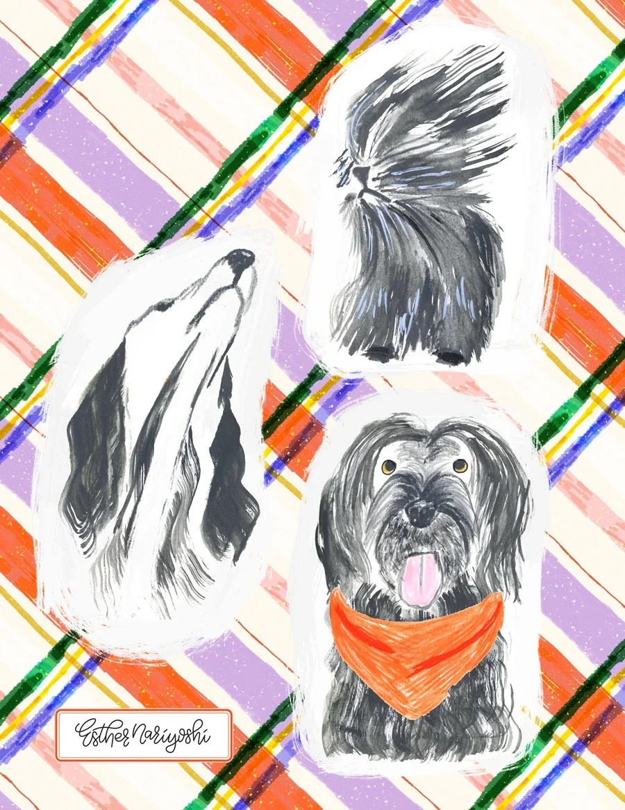 Illustration set of three black-and-white dog portraits on a colorful plaid background, including a dog wearing an orange bandana.